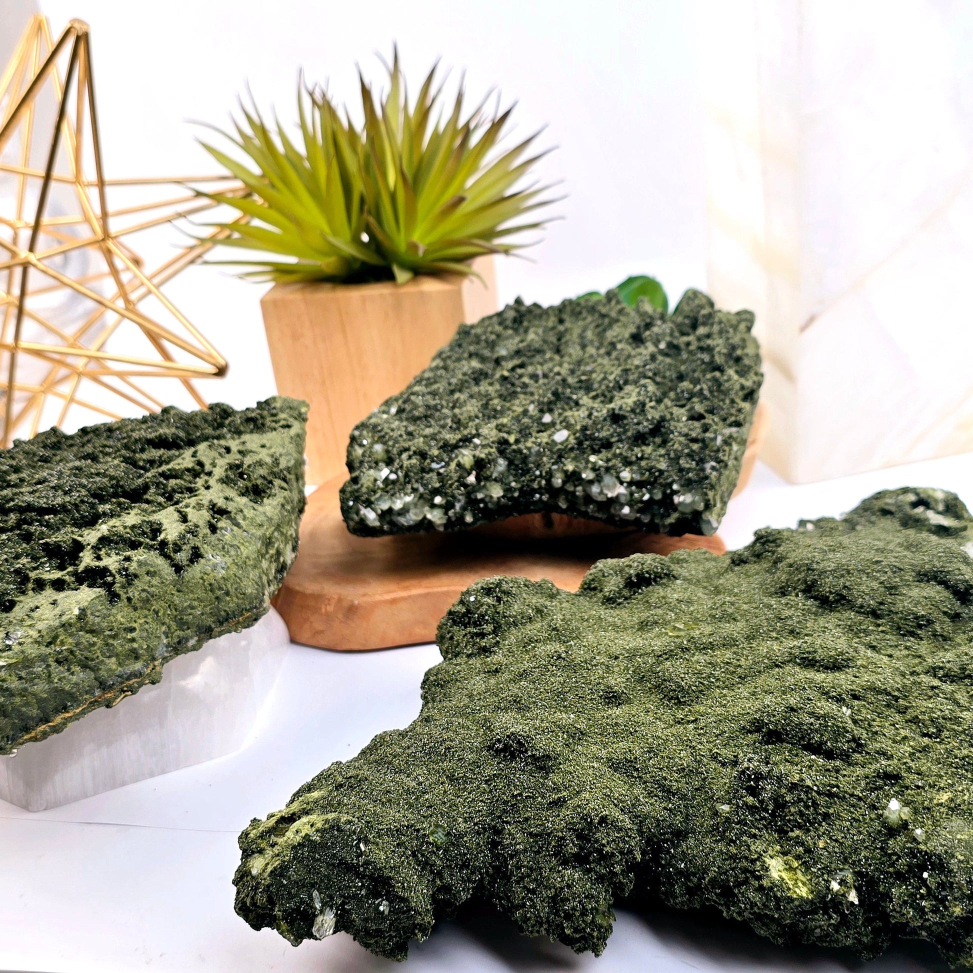 Forest Epidote with Quartz Crystal Cluster from Turkey - You Choose side view with props and plants in the background