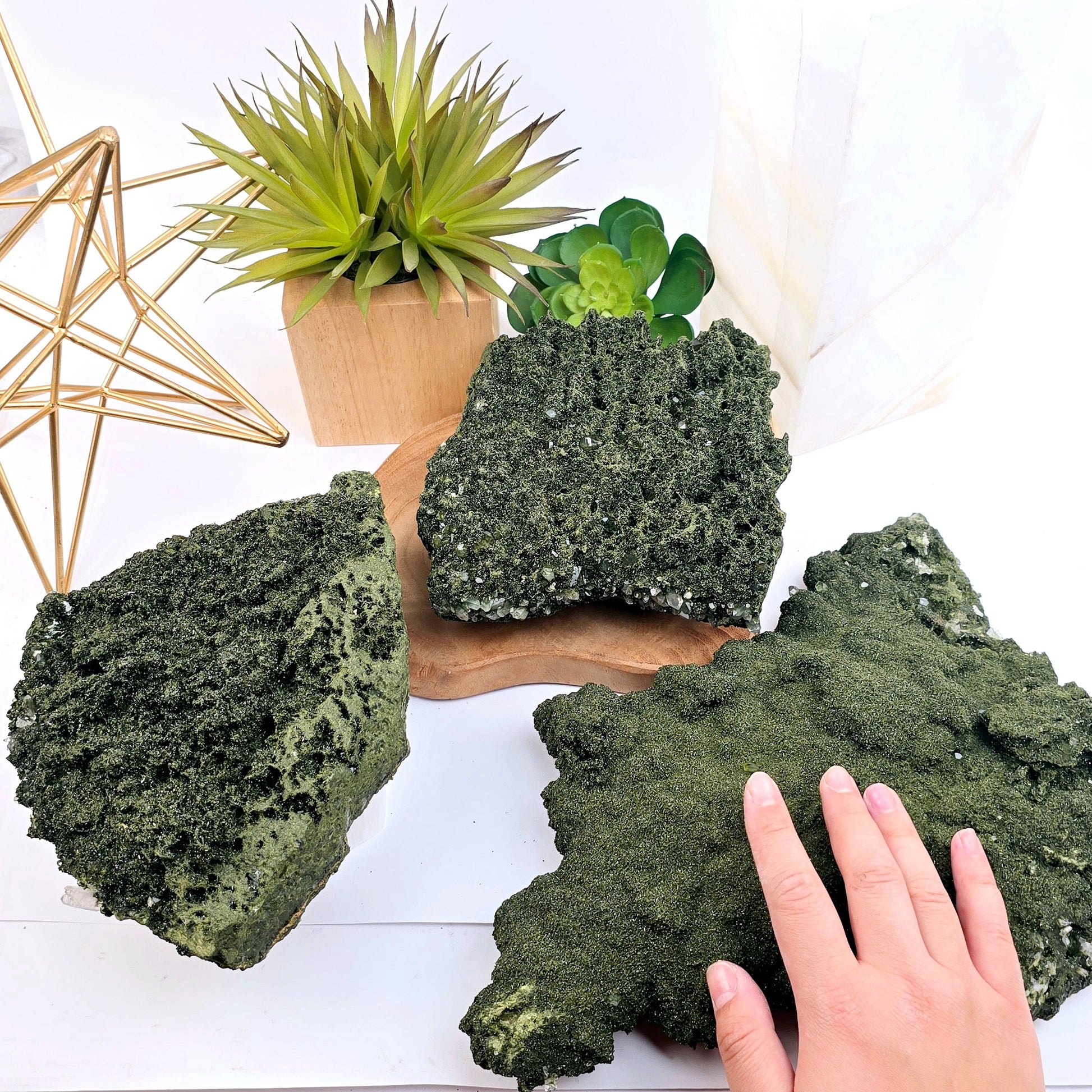 Forest Epidote with Quartz Crystal Cluster from Turkey - You Choose all variants with hand for size reference with props and plants in the background