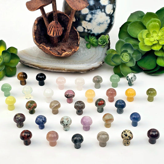 Gemstone Mushroom - Small Crystal Carving - Available in Set of 10 - You Choose Stone all variants with props nd plants in the backgrounds