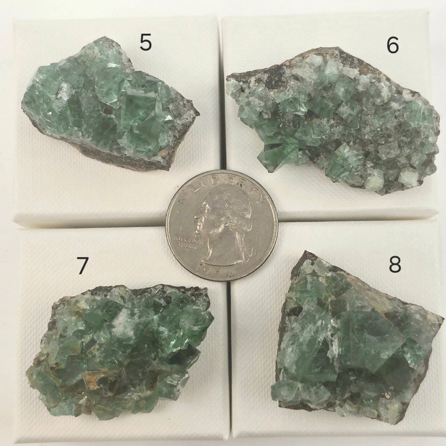 Diana Maria Mine Fluorite Crystal Cluster from England - You Choose #2 variants 5, 6, 7, and 8 labeled with quarter for size reference