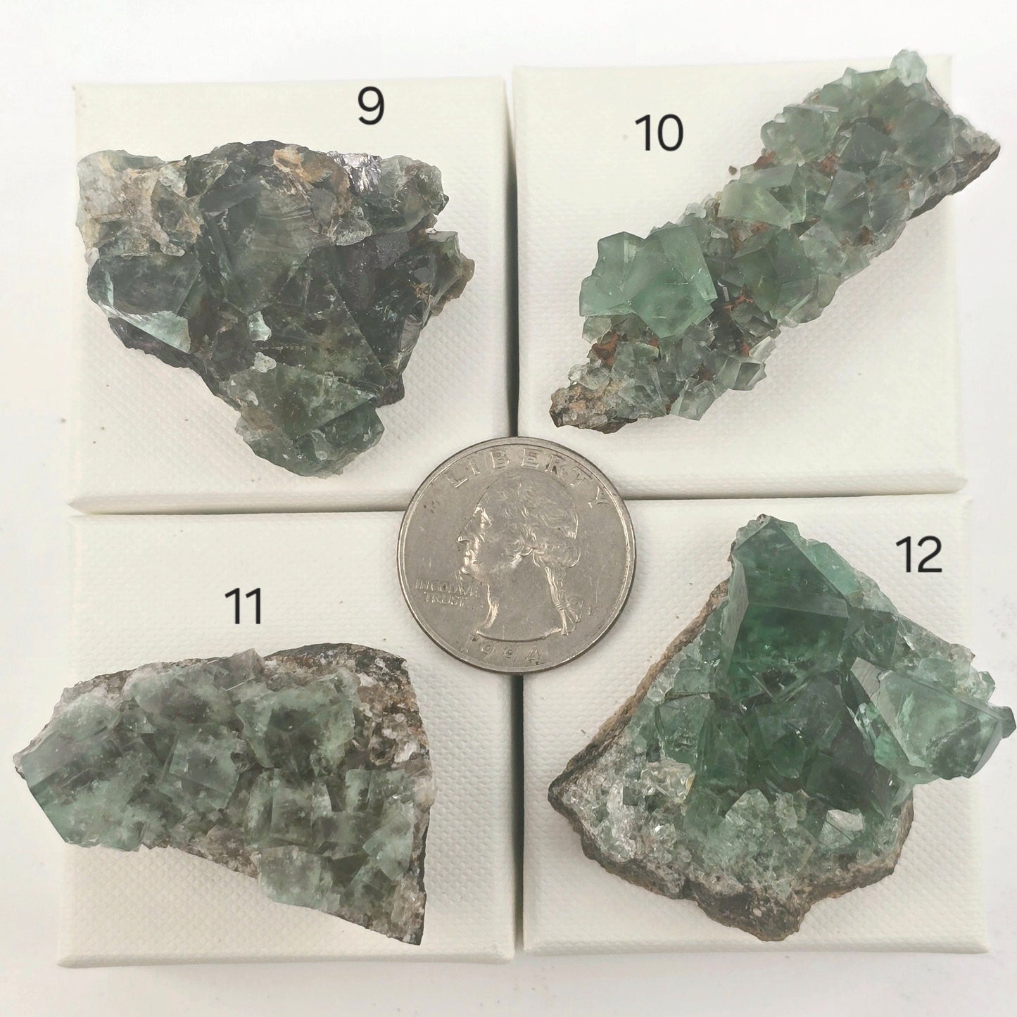 Diana Maria Mine Fluorite Crystal Cluster from England - You Choose #2 variants 9, 10, 11, and 12 labeled with quarter for size reference