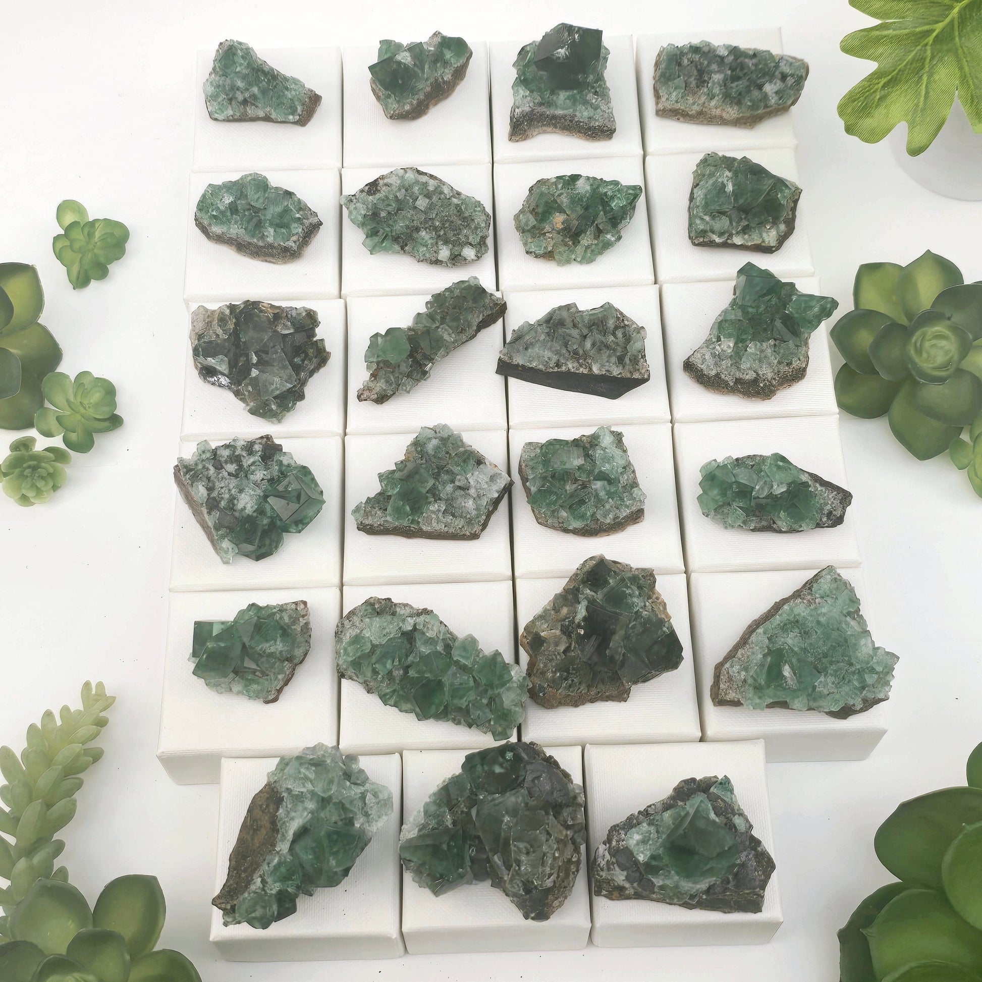 Diana Maria Mine Fluorite Crystal Cluster from England - You Choose #2 all variants top view with plants in the background