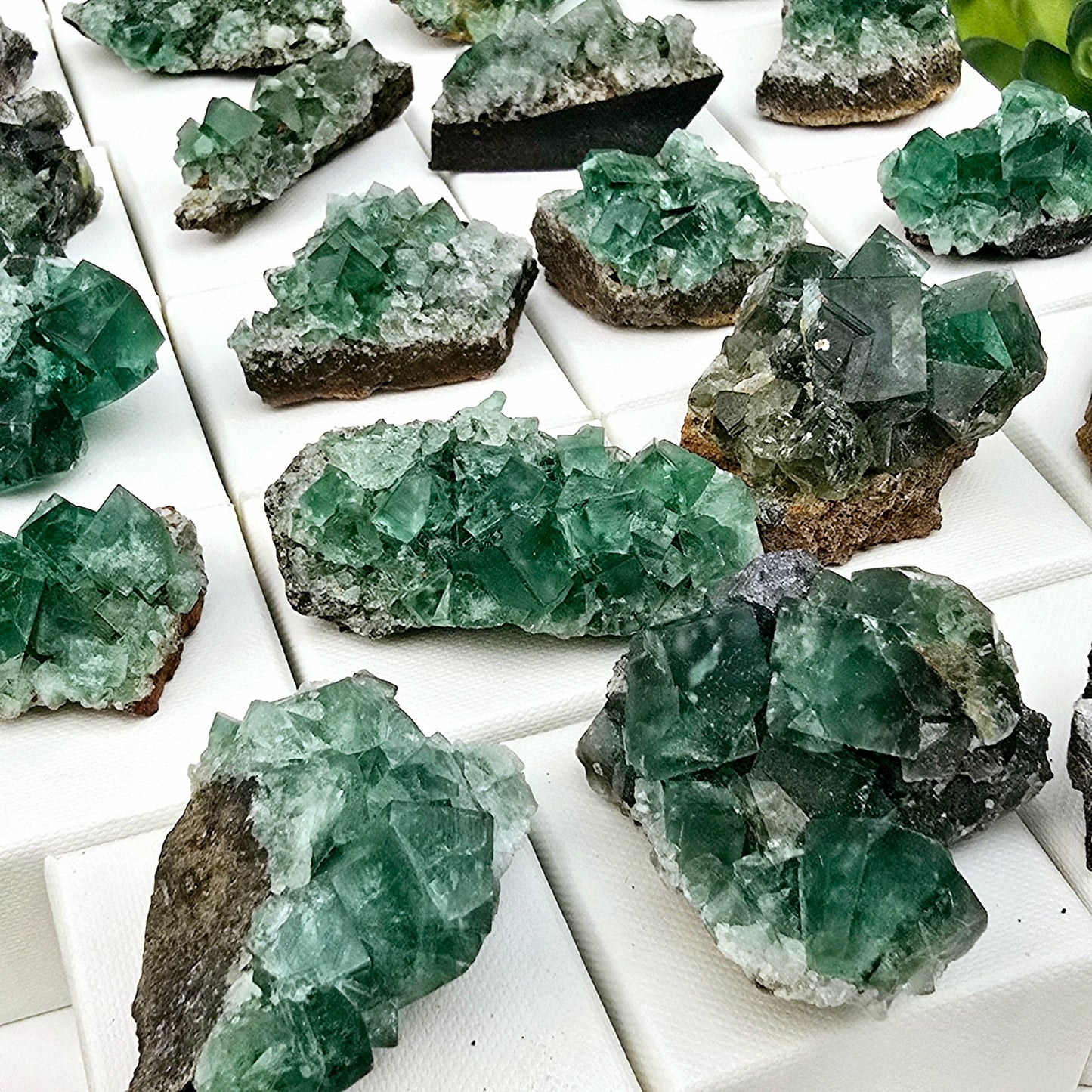 Diana Maria Mine Fluorite Crystal Cluster from England - You Choose #2 closeup for detail