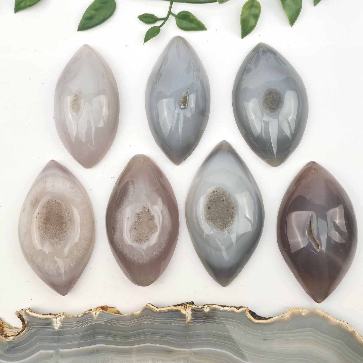 Agate - Large Natural Agate Druzy Polished Marquise Crystal Cabochon - You Choose all variants with props and plants in the background