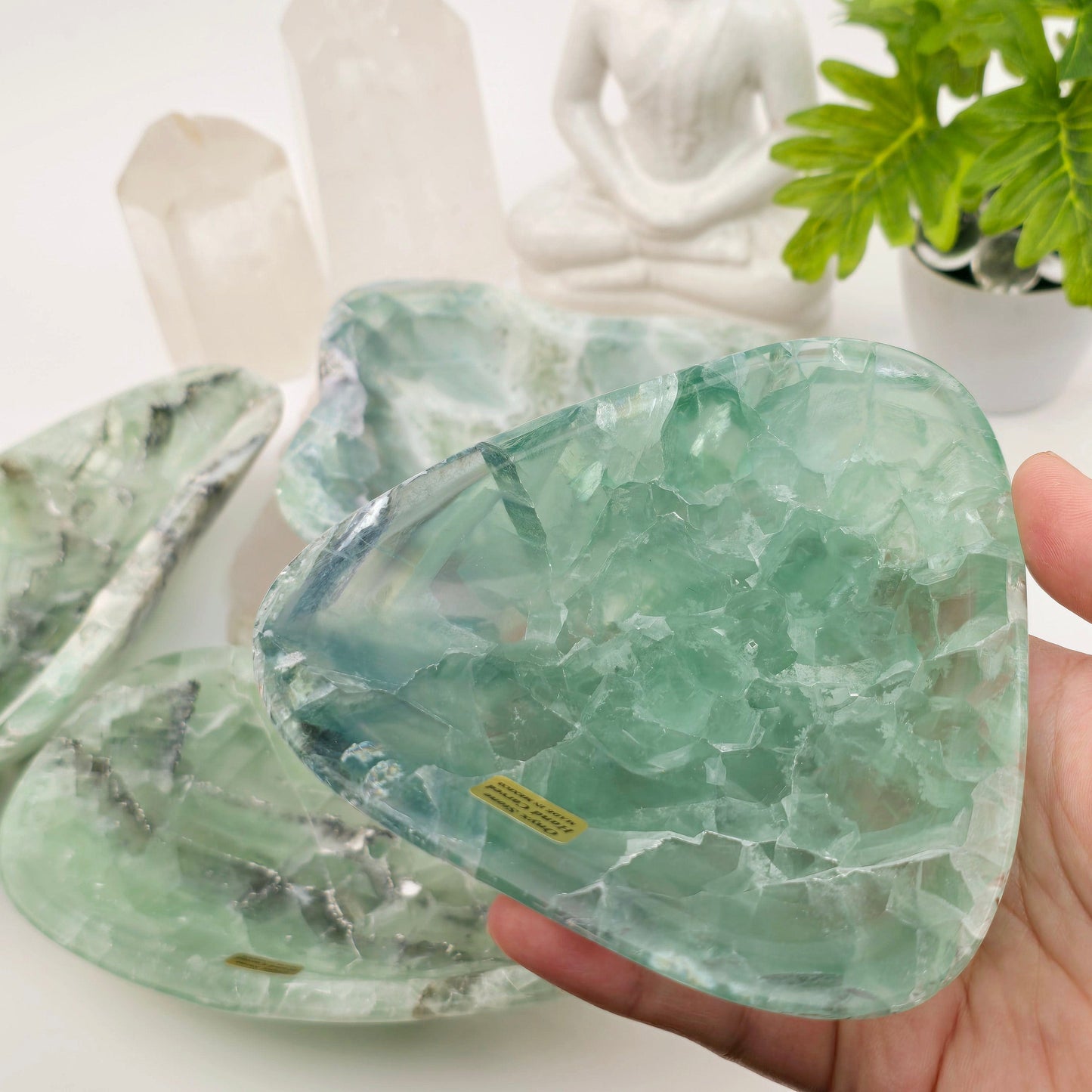 Fluorite Polished Crystal Bowl - You Choose #1 variant 1 in hand for size reference with other variants in background with props and plants