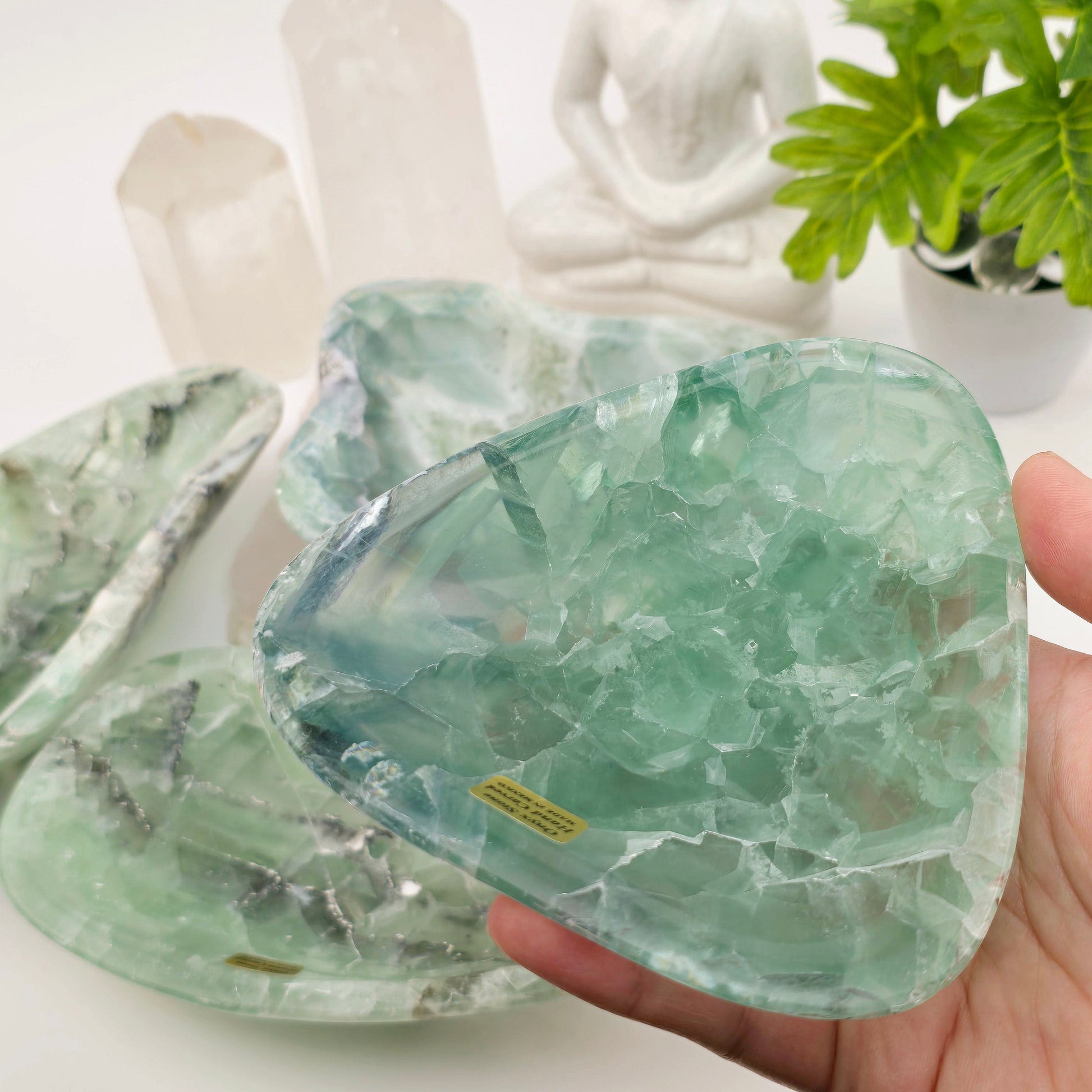 Fluorite Polished Crystal Bowl - You Choose #1 variant 1 in hand for size reference with other variants in background with props and plants