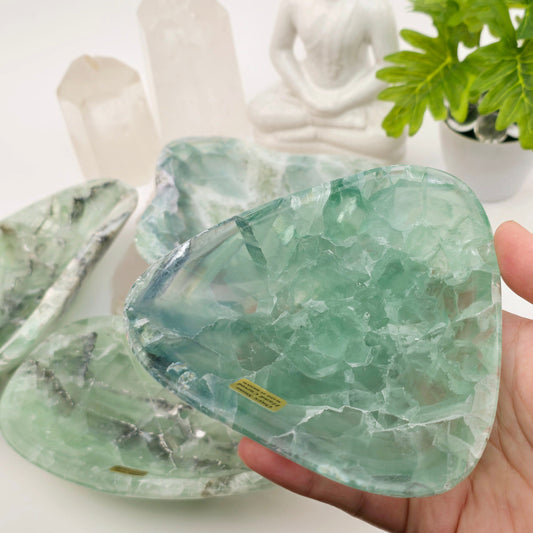 Fluorite Polished Crystal Bowl - You Choose #1 variant 1 in hand for size reference with other variants in background with props and plants