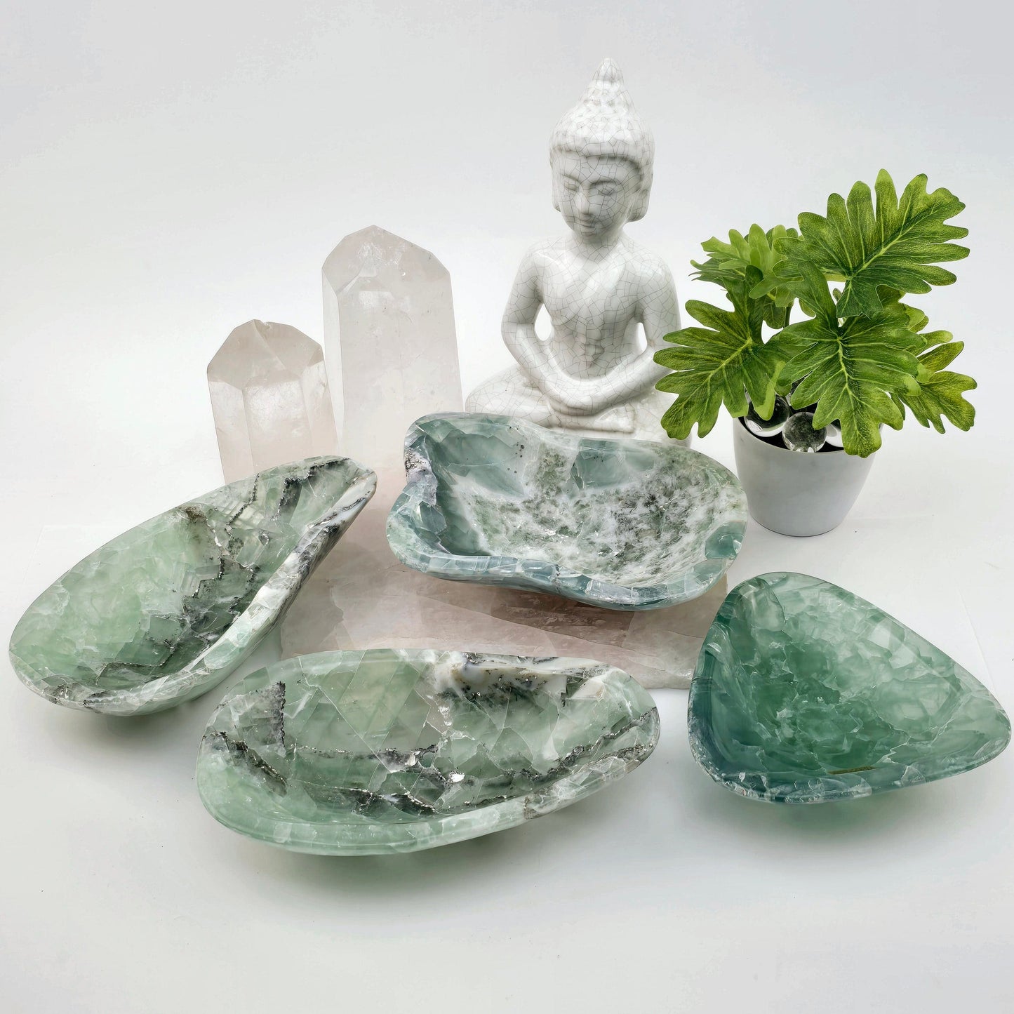 Fluorite Polished Crystal Bowl - You Choose #1 all variants with props and plants in the background