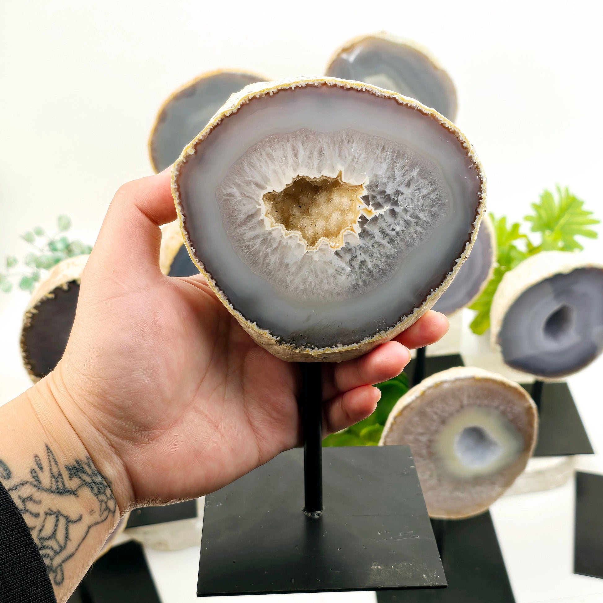 Agate Natural Crystal Geode Half on Stand - You Choose #2 one in hand for size reference with other variants in the background with props and plants