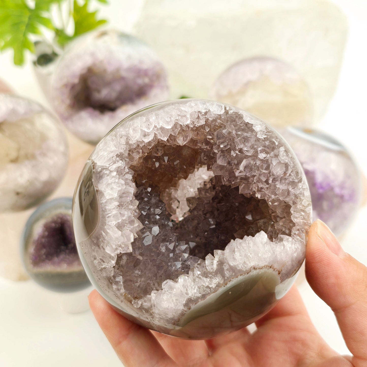 Amethyst Agate Crystal Sphere - You Choose #1 variant 6 in hand with other variants in the background with props and plants