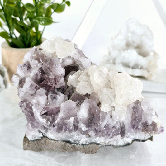 Amethyst Crystal Cluster with Calcite One-of-a-Kind #2 front view with props and plants in the background