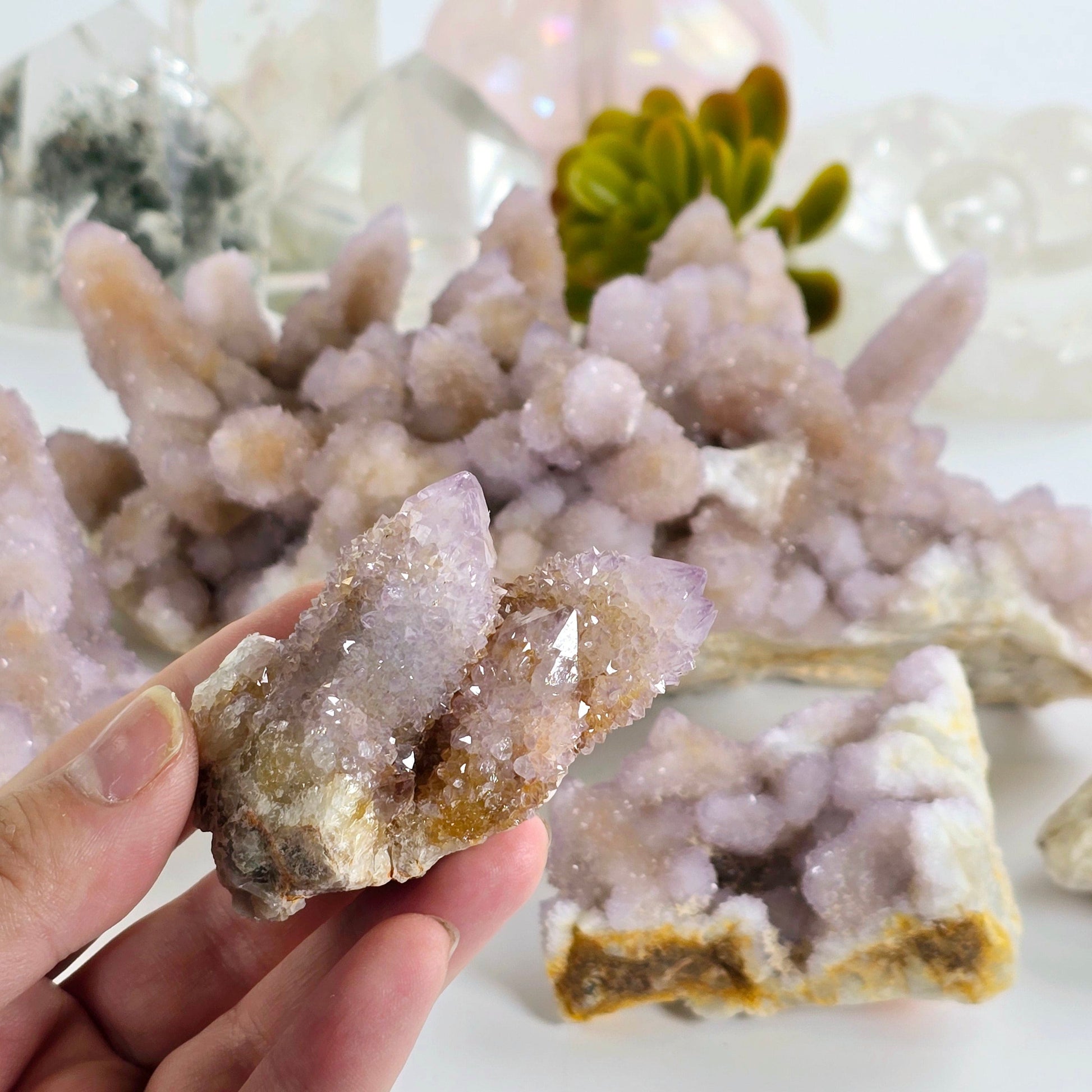 Cactus Amethyst from South Africa - Spirit Amethyst Crystal Cluster - You Choose variant 1 in hand for size reference with other variants in the background with props and plants