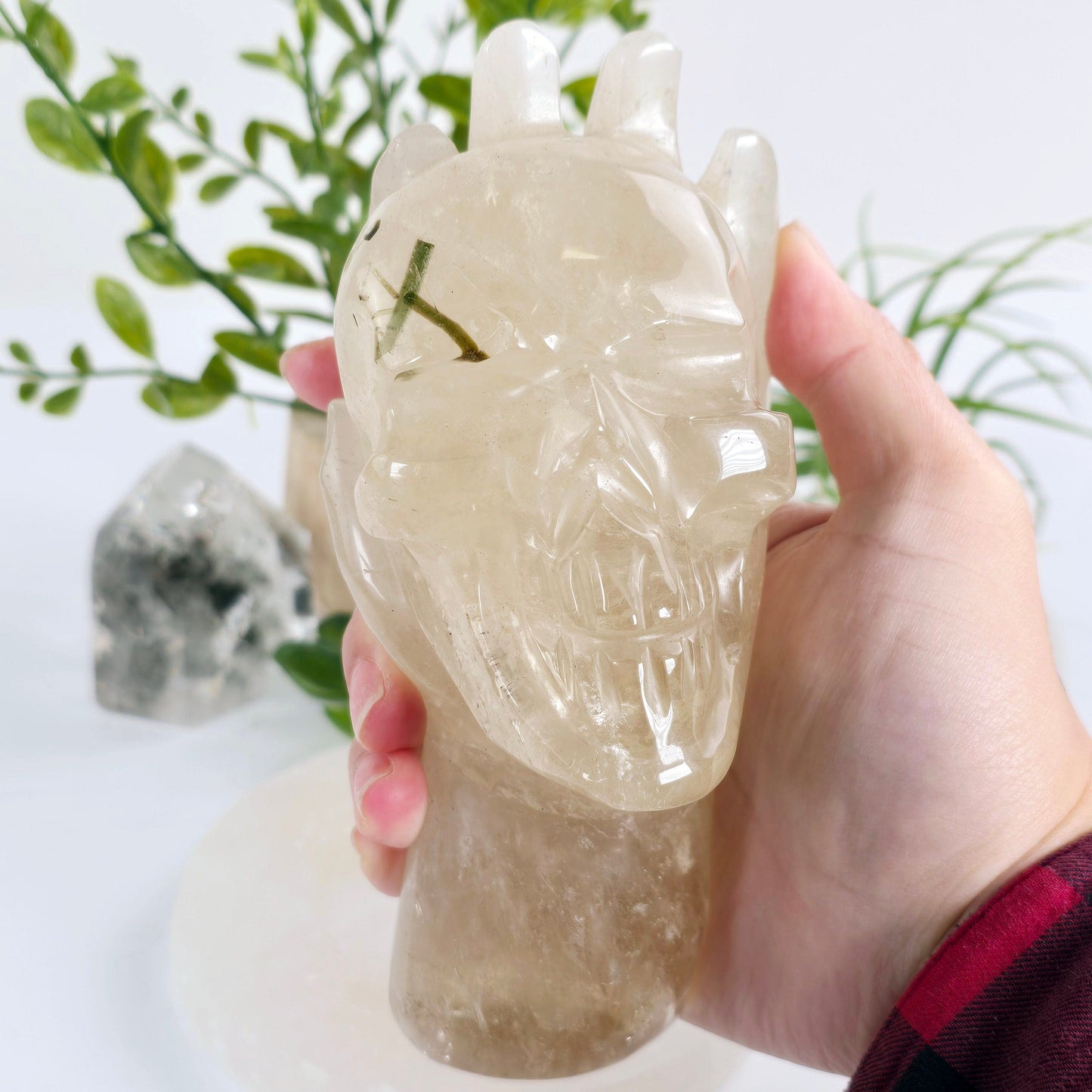 Natural Citrine with Epidote Crystal Hand Holding Skull Sculpture - One-of-a-Kind in hand for size reference with plants and props in the background