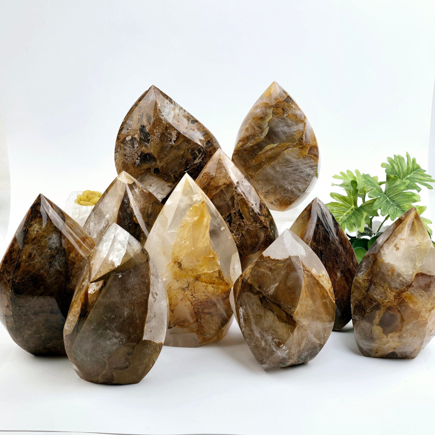 Golden Healer Quartz Crystal Flame Point Cut Base - You Choose #1 all variants with plants and props