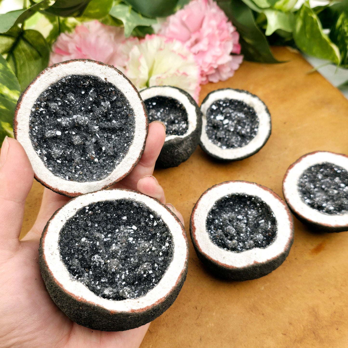 Galena Crystal Geode Pair from Morocco - Manmade one in hand for size reference with others in the background with props and plants on wooden surface