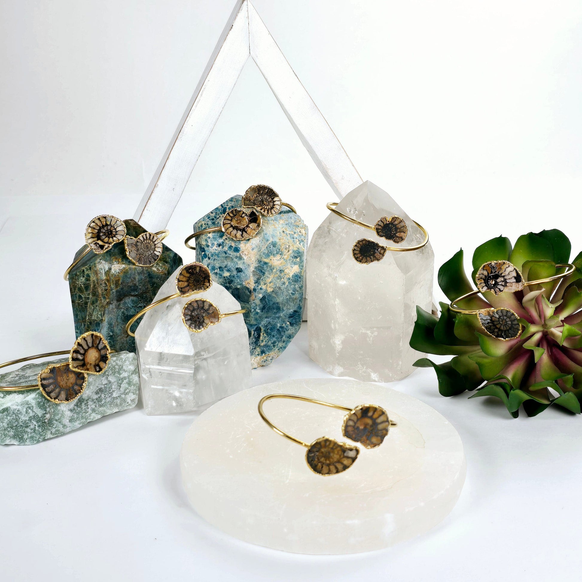 Ammonite with Hematite Pair Bracelet - Gold Fill Fossil Bangle - You Choose all variants on crystal points, platters, and plants with shelf in the background