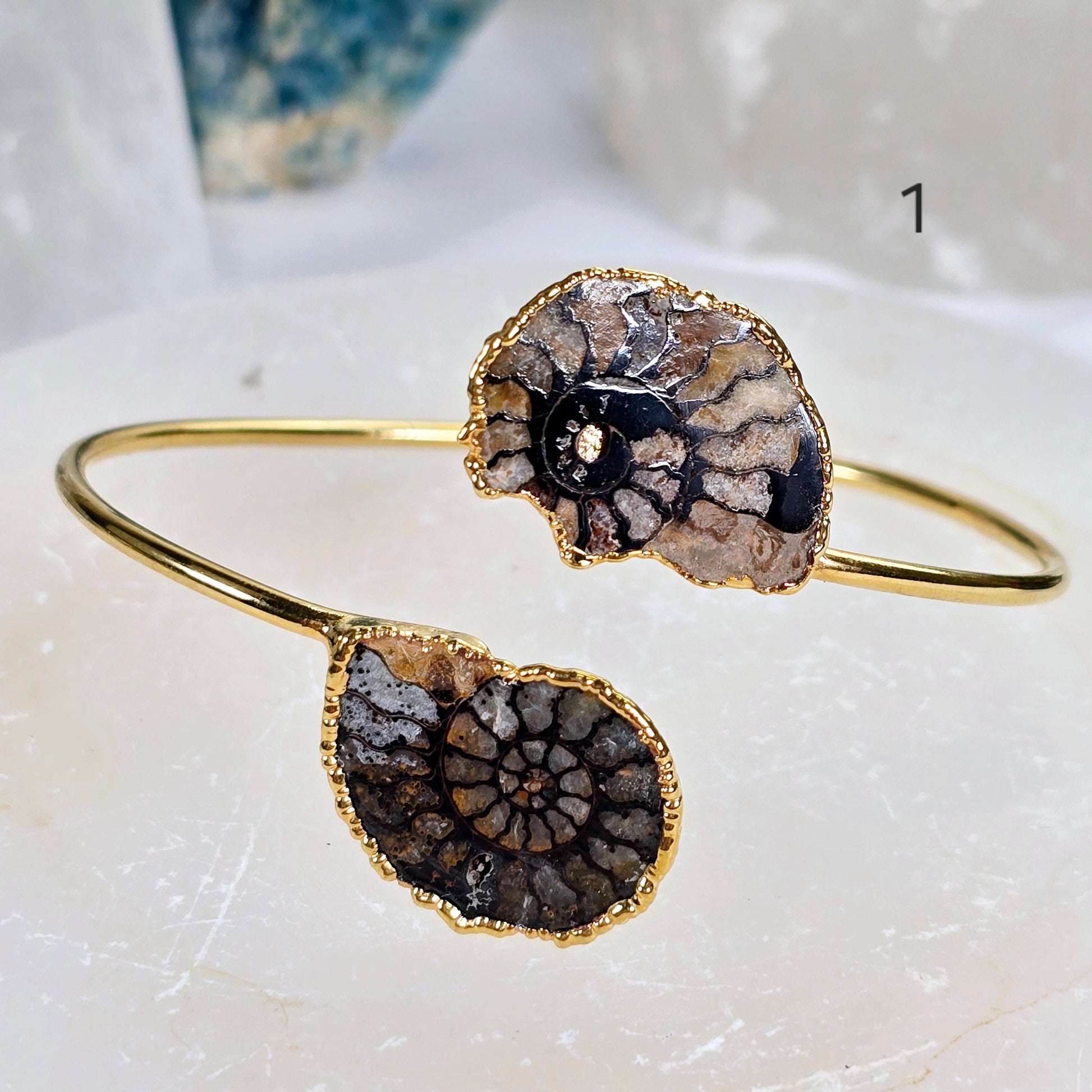 Ammonite with Hematite Pair Bracelet - Gold Fill Fossil Bangle - You Choose variant 1 labeled