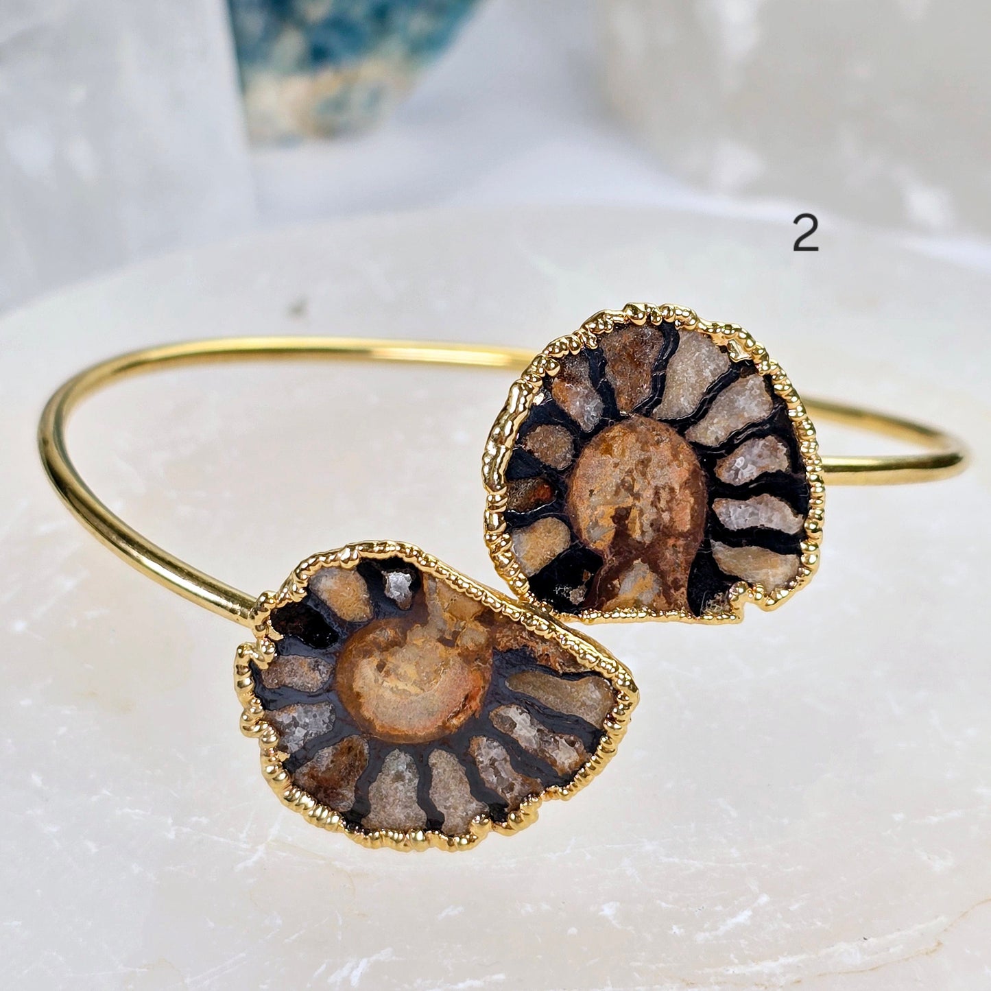 Ammonite with Hematite Pair Bracelet - Gold Fill Fossil Bangle - You Choose variant 2 labeled