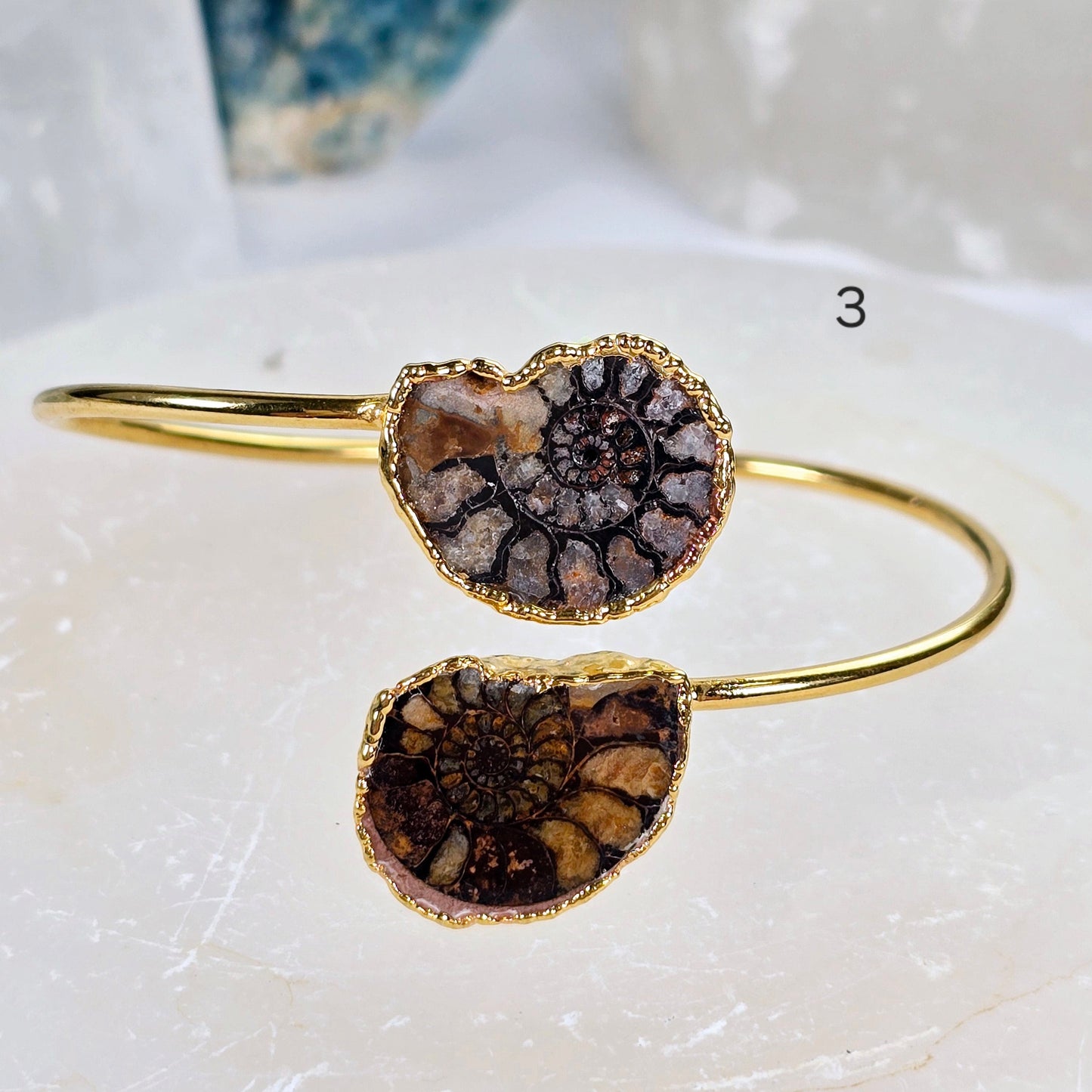 Ammonite with Hematite Pair Bracelet - Gold Fill Fossil Bangle - You Choose variant 3 labeled