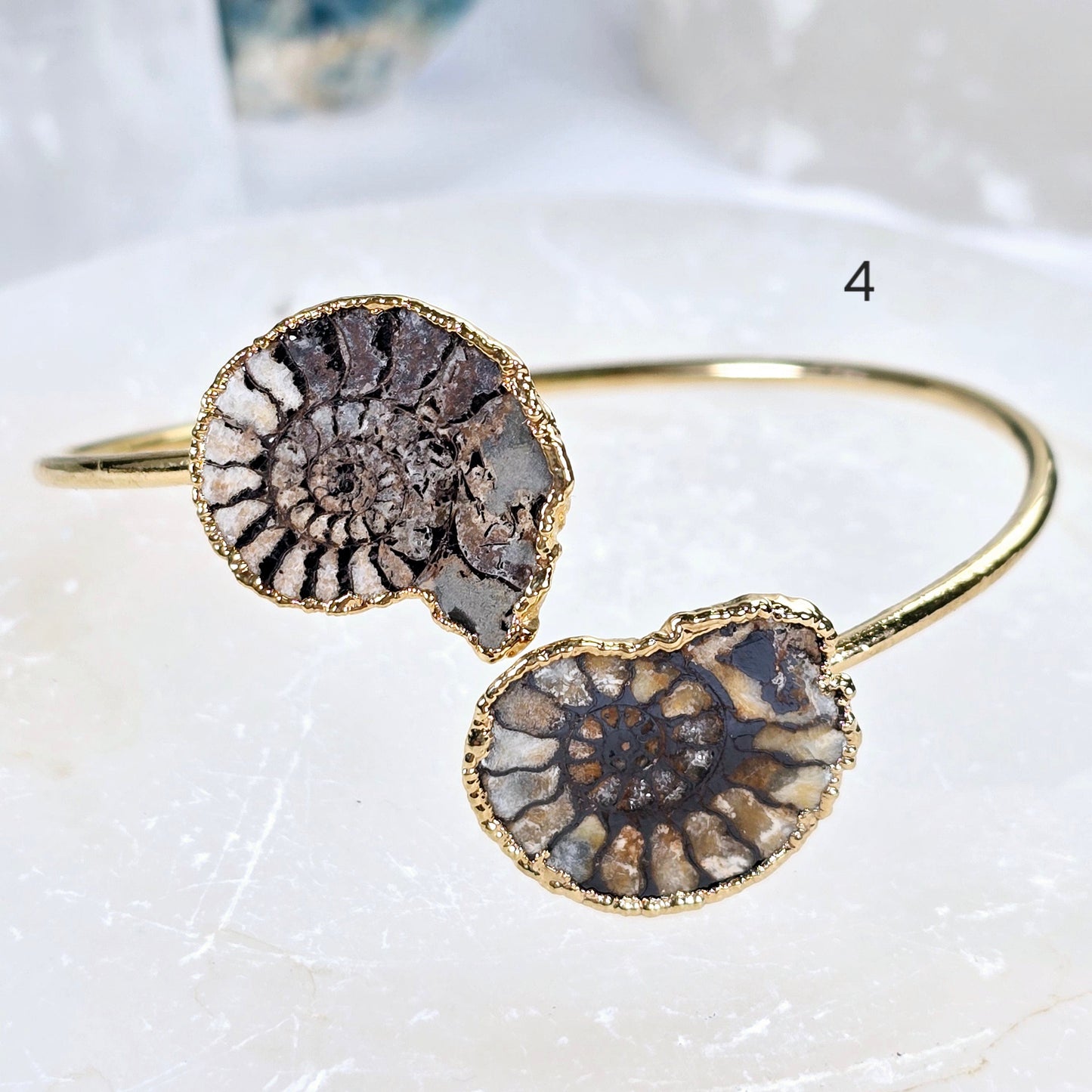 Ammonite with Hematite Pair Bracelet - Gold Fill Fossil Bangle - You Choose variant 4 labeled