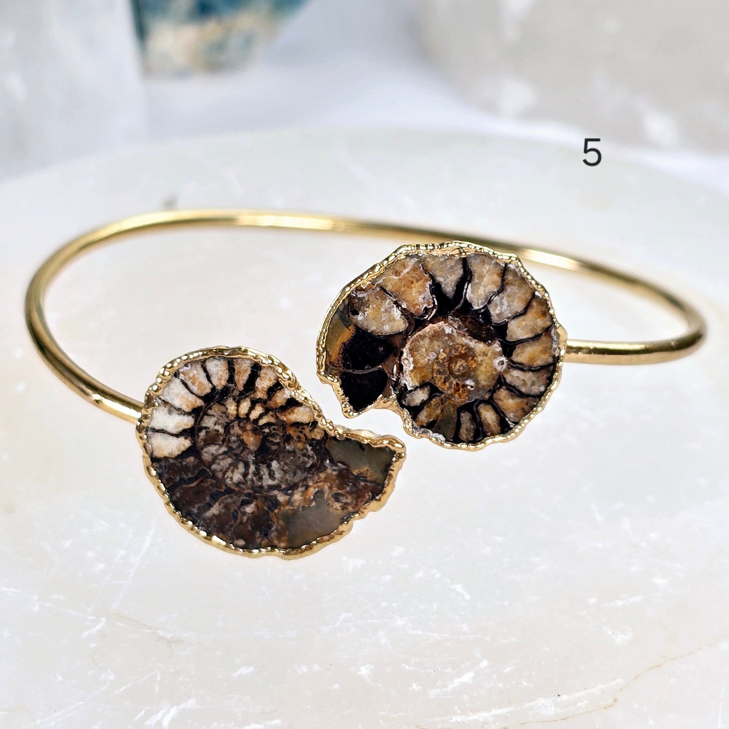 Ammonite with Hematite Pair Bracelet - Gold Fill Fossil Bangle - You Choose variant 5 labeled