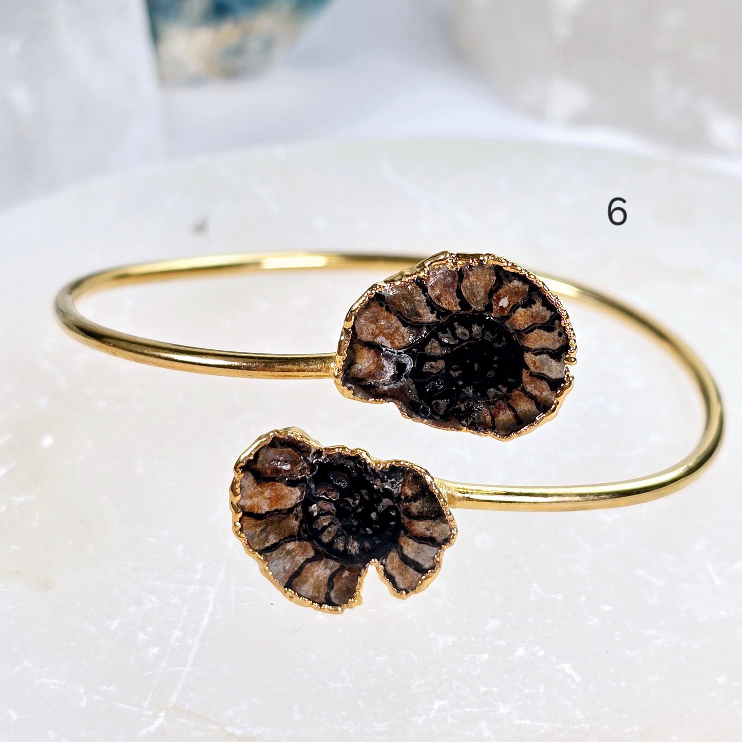 Ammonite with Hematite Pair Bracelet - Gold Fill Fossil Bangle - You Choose variant 6 labeled
