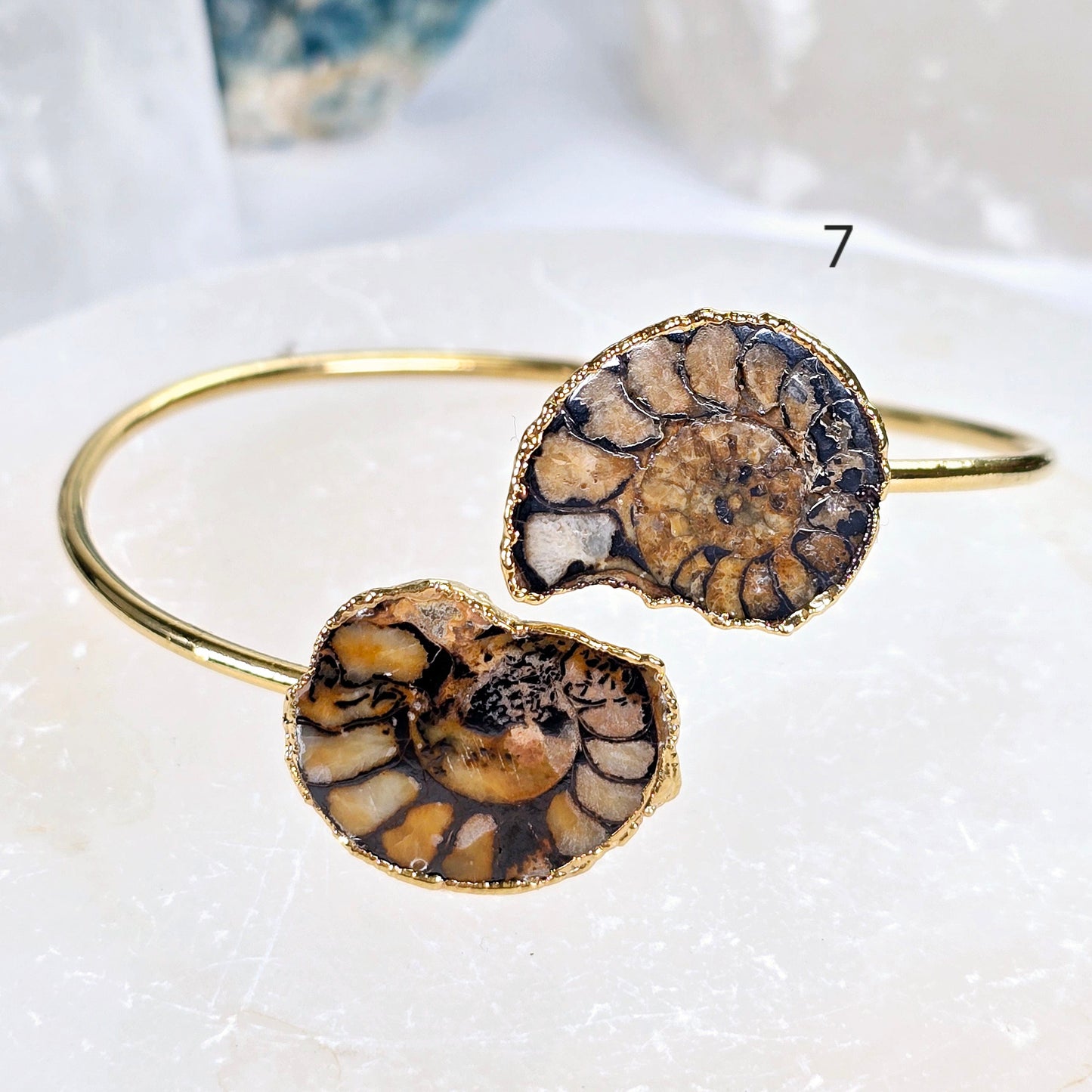 Ammonite with Hematite Pair Bracelet - Gold Fill Fossil Bangle - You Choose variant 7 labeled