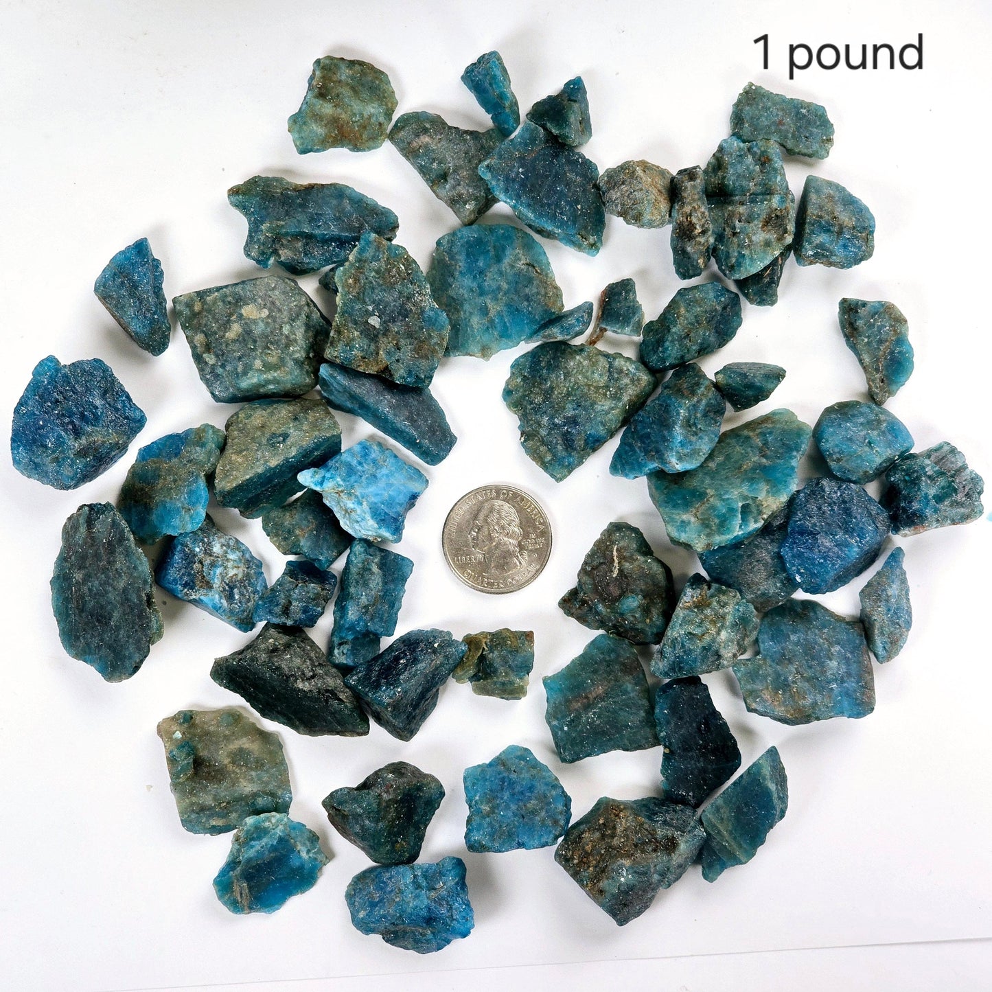 Apatite - Rough Stones - Assorted Sizes - 1/2 lb or 1 lb 1 pound variant labeled with quarter for size reference