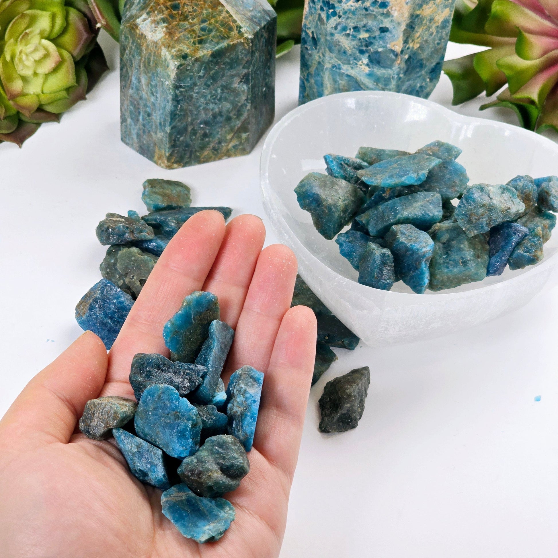 Apatite - Rough Stones - Assorted Sizes - 1/2 lb or 1 lb some in hand others on table others in bowl with props and plants in the background