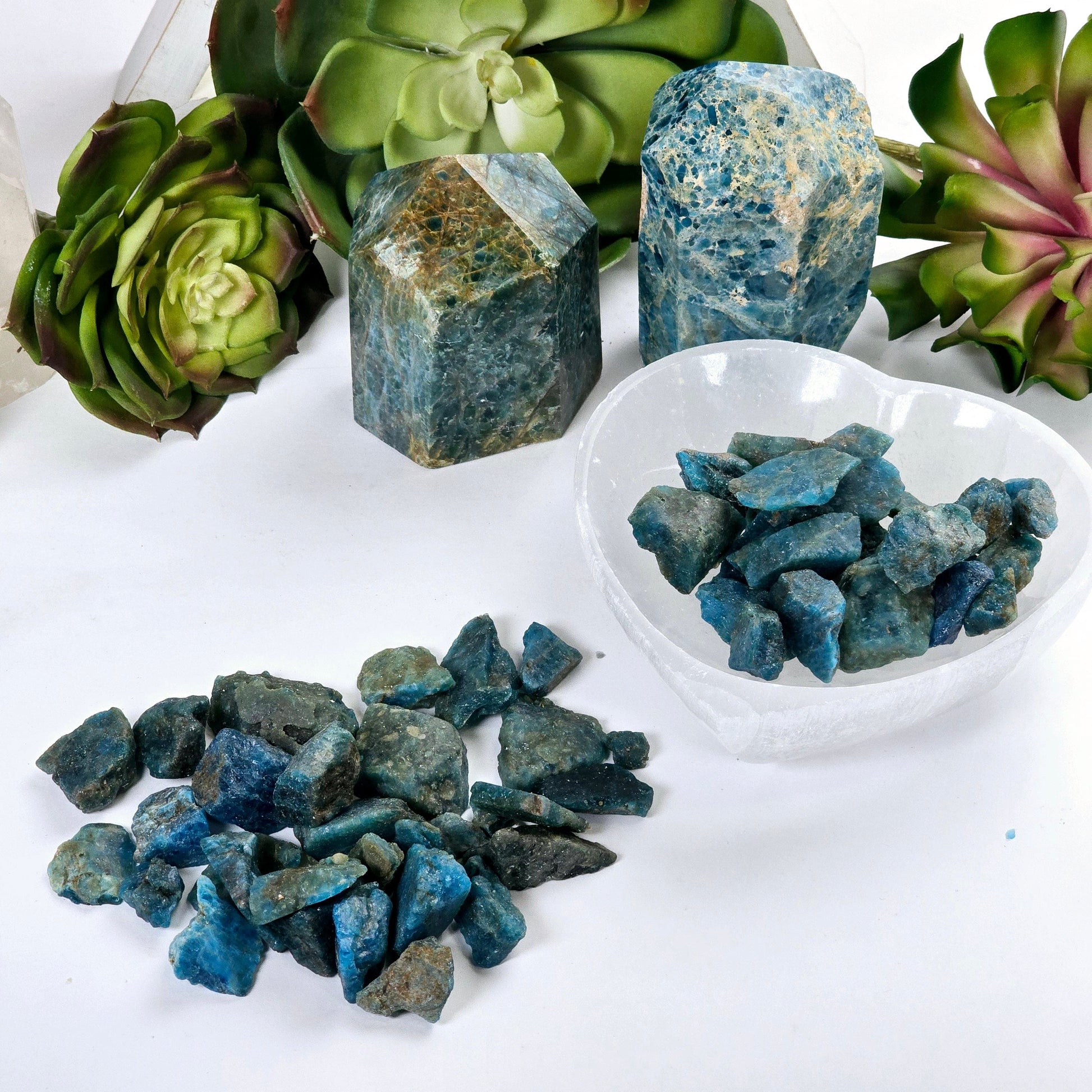 Apatite - Rough Stones - Assorted Sizes - 1/2 lb or 1 lb arranged in heart shape and in heart bowl with props and plants in the background