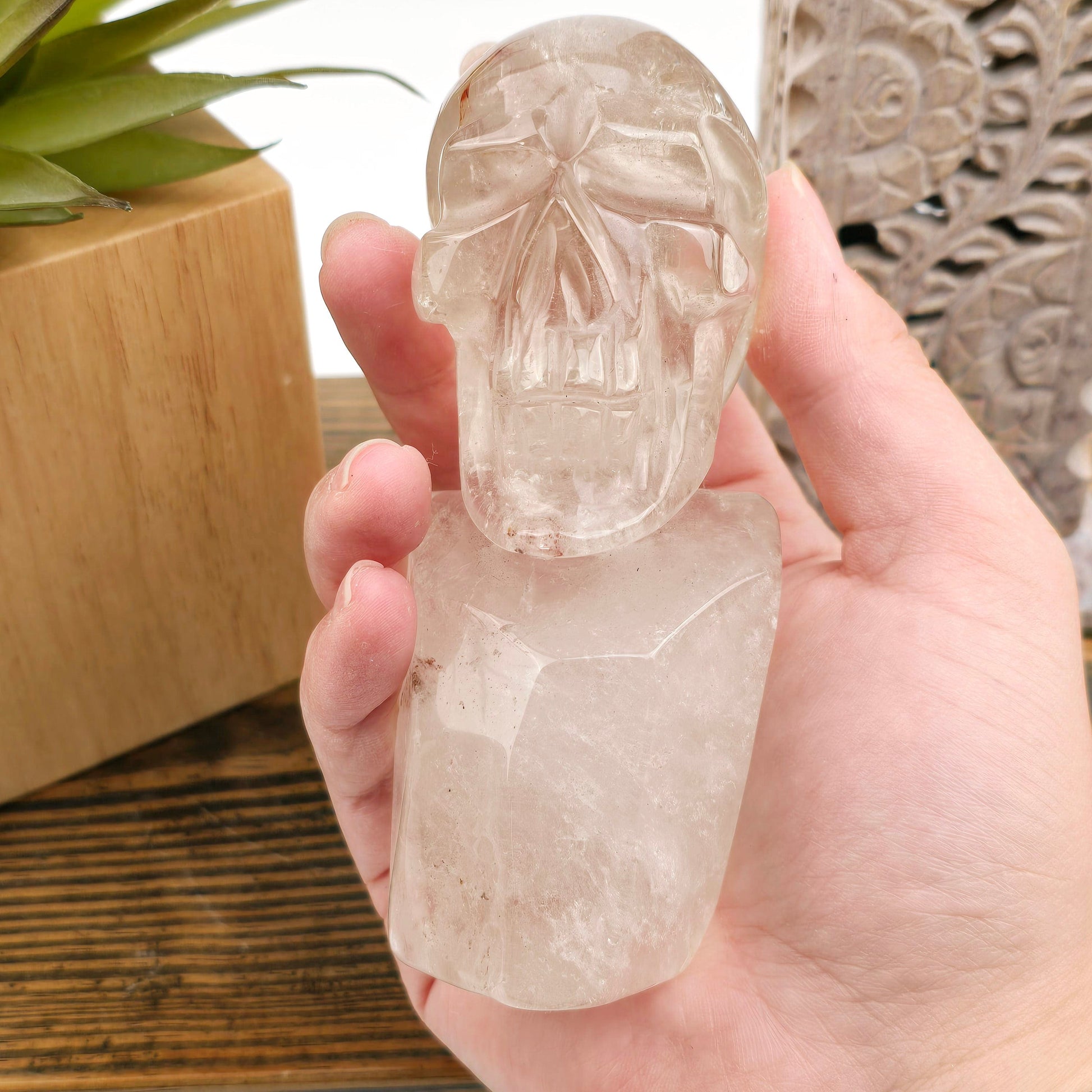 Crystal Quartz Skull Bust Sculpture - One-of-a-Kind in hand for size reference with props and plants in the background