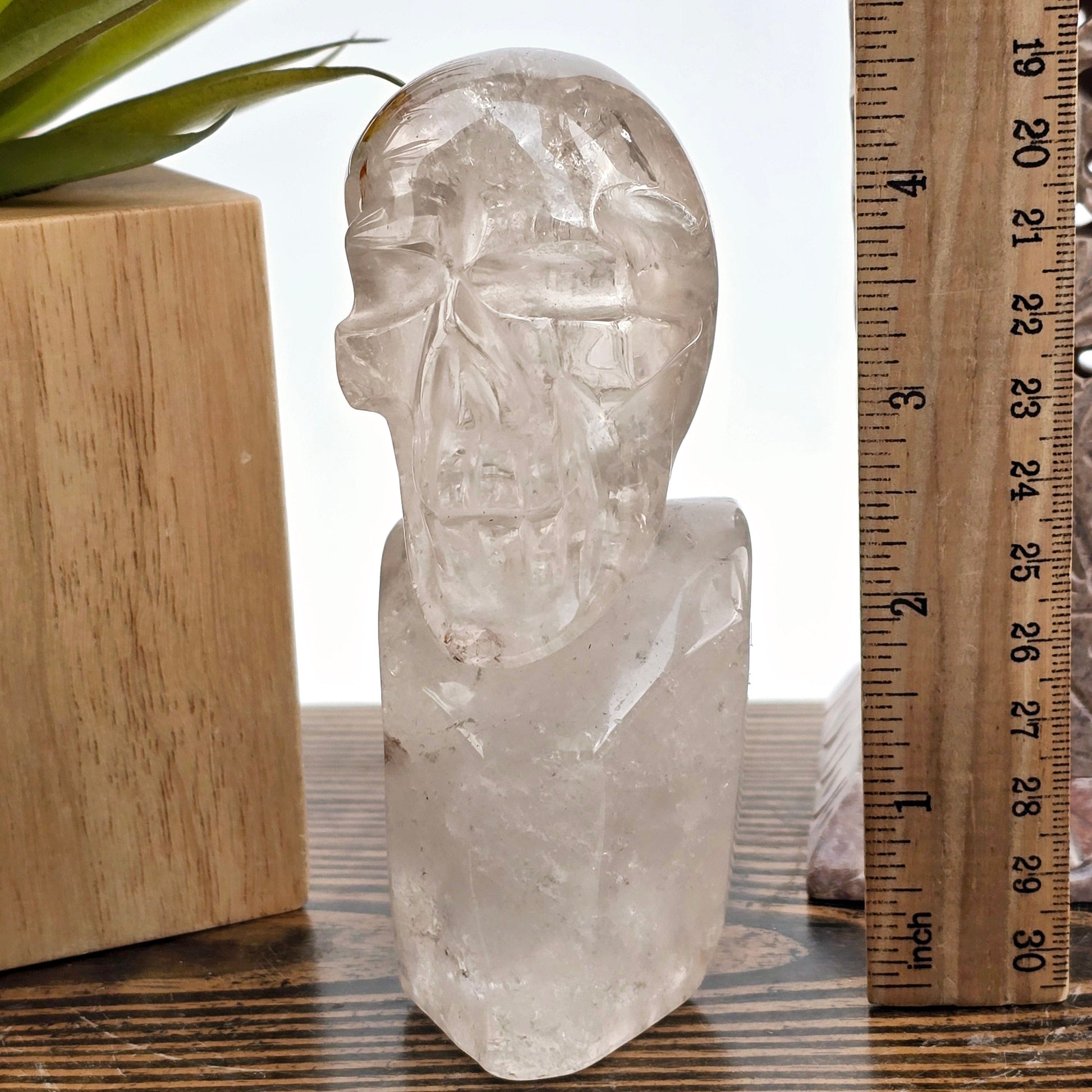 Crystal Quartz Skull Bust Sculpture - One-of-a-Kind with ruler for size reference front view