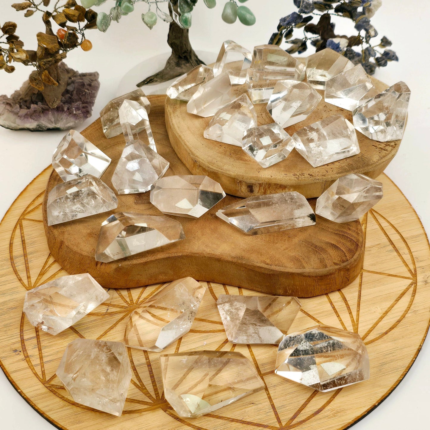 Crystal Quartz Freeform High Quality Polished Crystals from Brazil - You Choose #1 all variants on wooden boards with crystal trees in the background