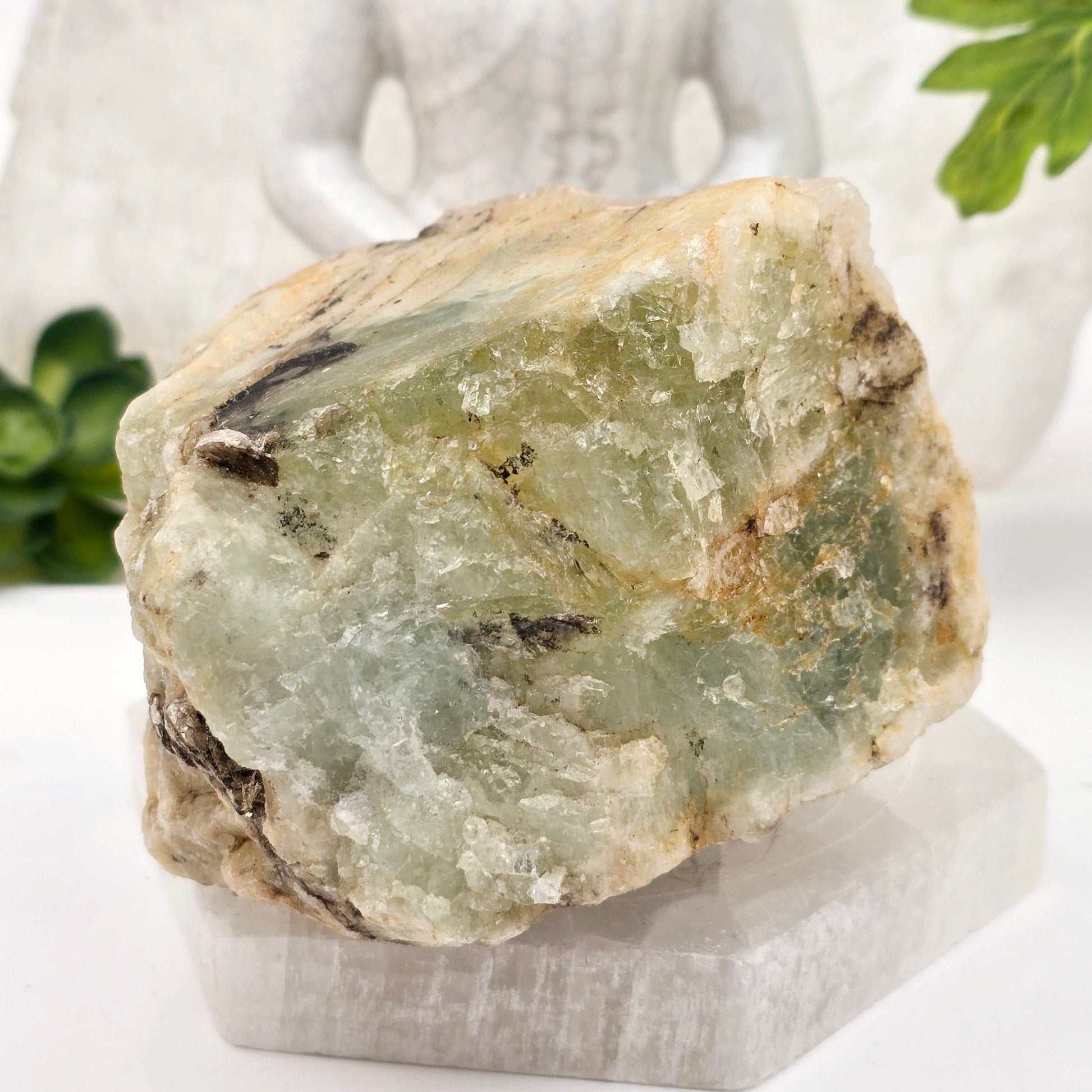 Aquamarine with Black Tourmaline and Mica - Rough Crystal - One-of-a-Kind #1 back view