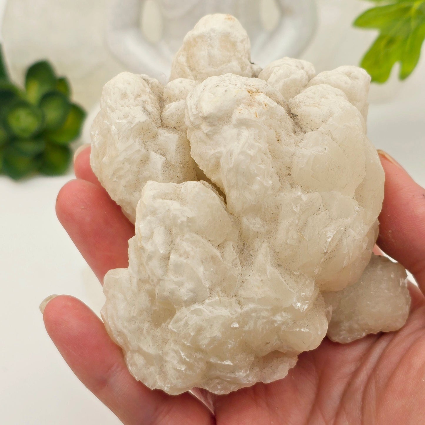 Calcite Crystal Cluster - White Calcite Specimen - One-of-a-Kind in hand for size reference with props and plants in the background