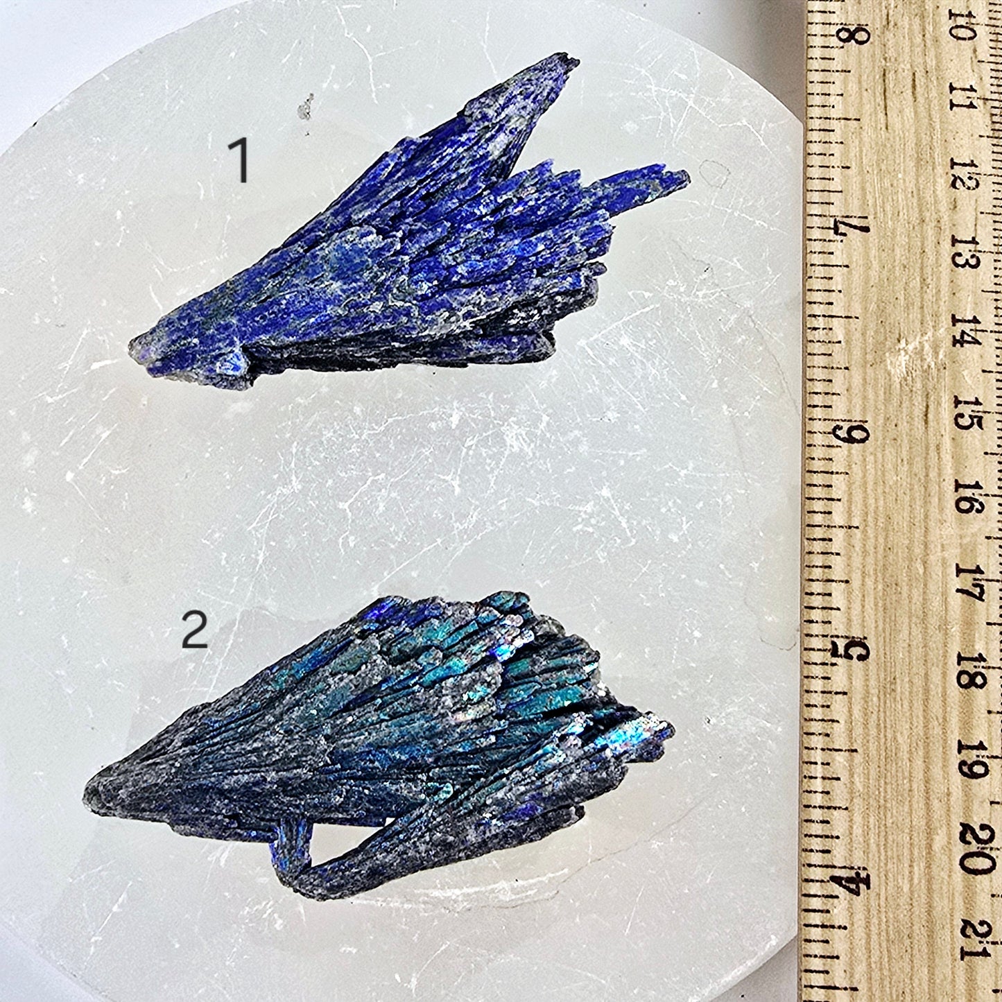 Black Kyanite Titanium Coated Crystal Cluster - You Choose variants 1 and 2 labeled with ruler for size reference