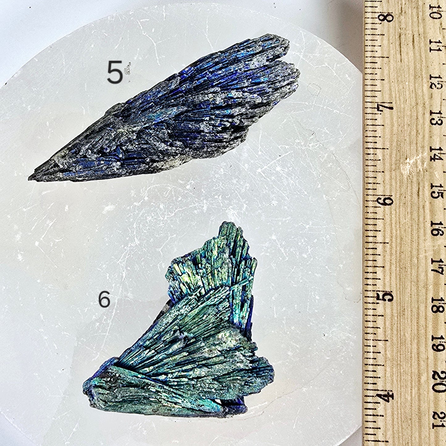 Black Kyanite Titanium Coated Crystal Cluster - You Choose variants 5 and 6 labeled with ruler for size reference