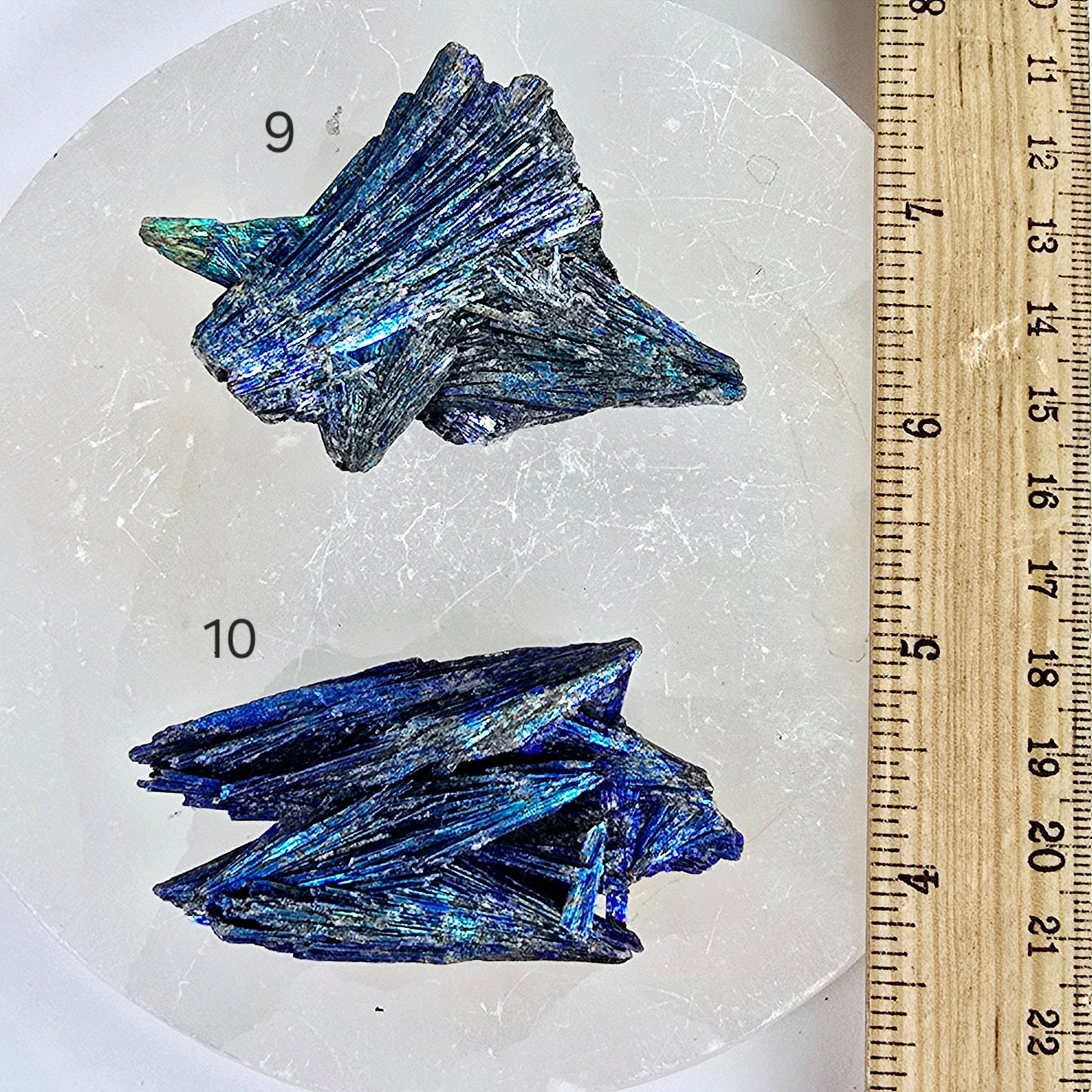 Black Kyanite Titanium Coated Crystal Cluster - You Choose variants 9 and 10 labeled with ruler for size reference