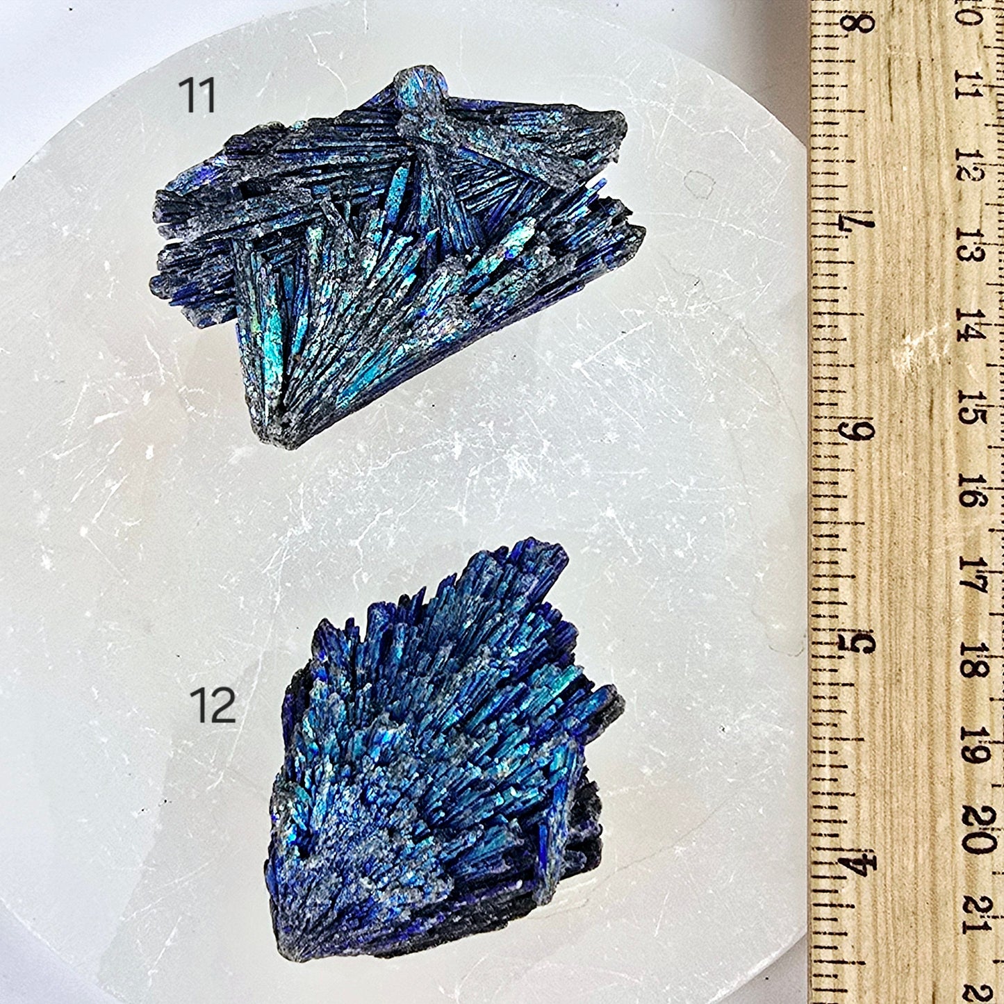 Black Kyanite Titanium Coated Crystal Cluster - You Choose variants 11 and 12 labeled with ruler for size reference