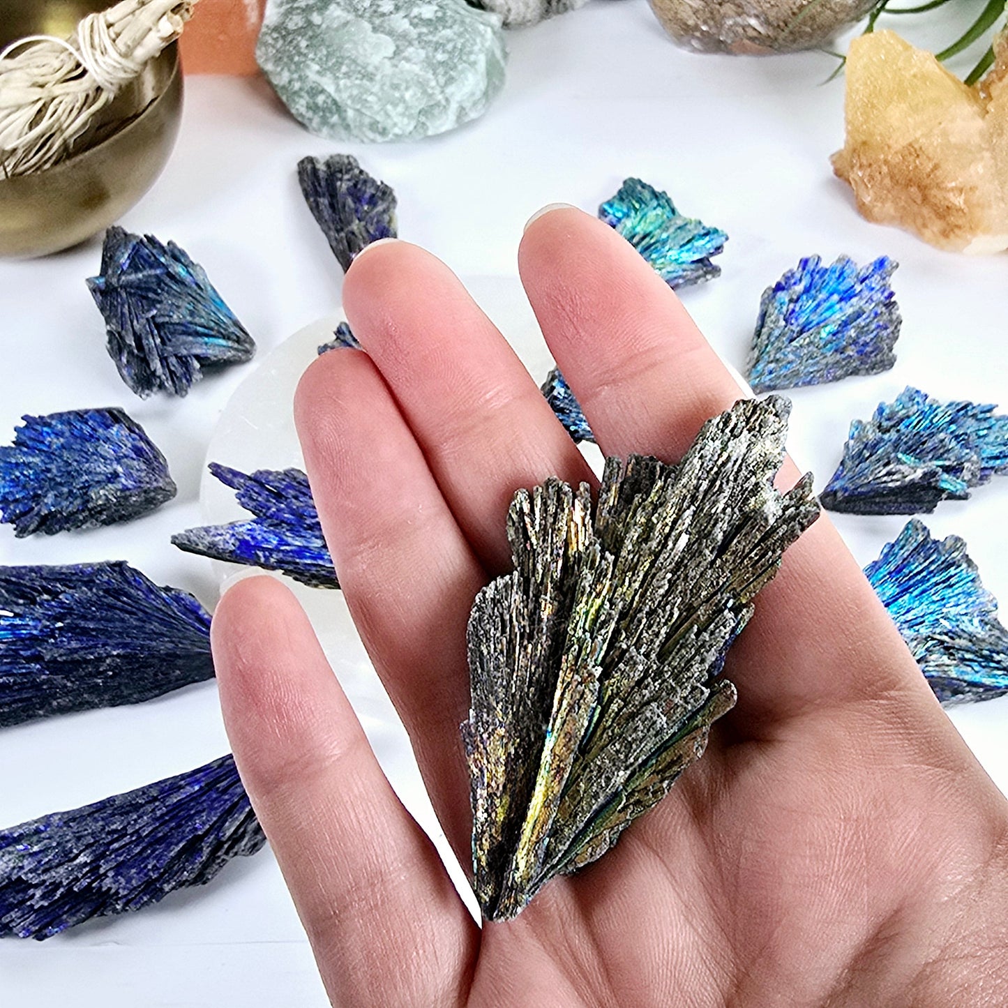 Black Kyanite Titanium Coated Crystal Cluster - You Choose variant 4 in hand for size reference with other variants in the background with props and plants