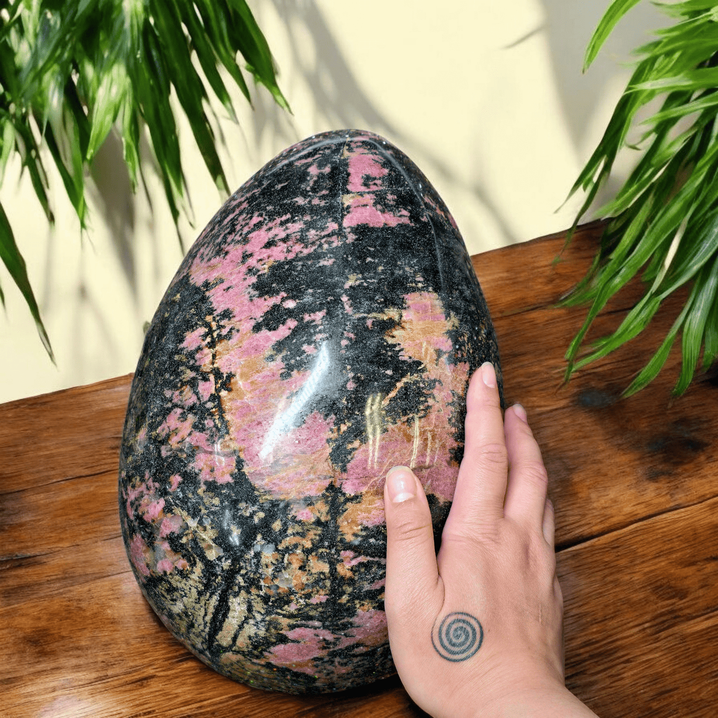 Giant Rhodonite Polished Crystal Egg - One-of-a-Kind with hand for size reference