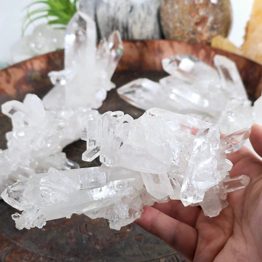 Crystal Quartz Cluster - AA Grade - You Choose #5 variant 1 in hand for size reference with other variants in the background with props and plants