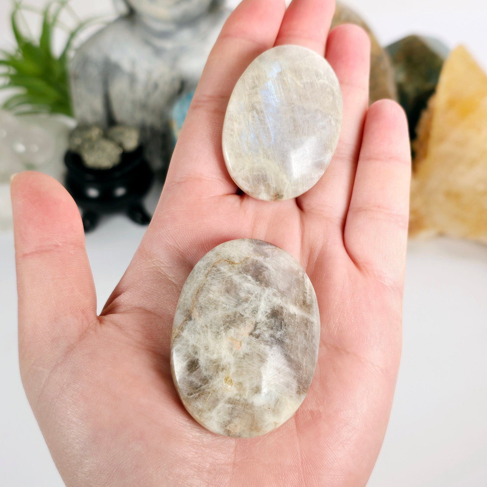 Peach Moonstone Crystal Palm Stone - You Choose both variants in hand for size reference with props and plants in the background