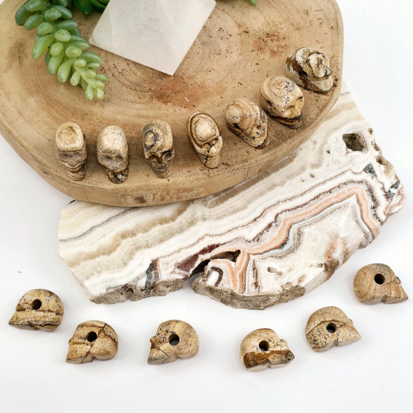 Picture Jasper Crystal Skull Bead arranged aesthetically on wooden platter with props and plants