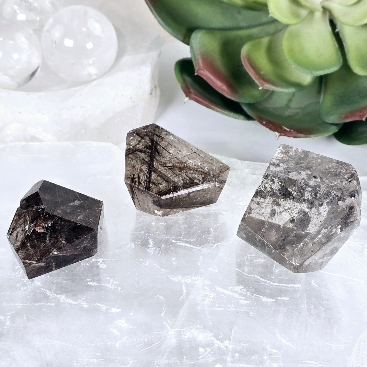Rutilated Quartz - Polished Freeform Crystal - YOU CHOOSE #3 all variants front view with props and plants in the background