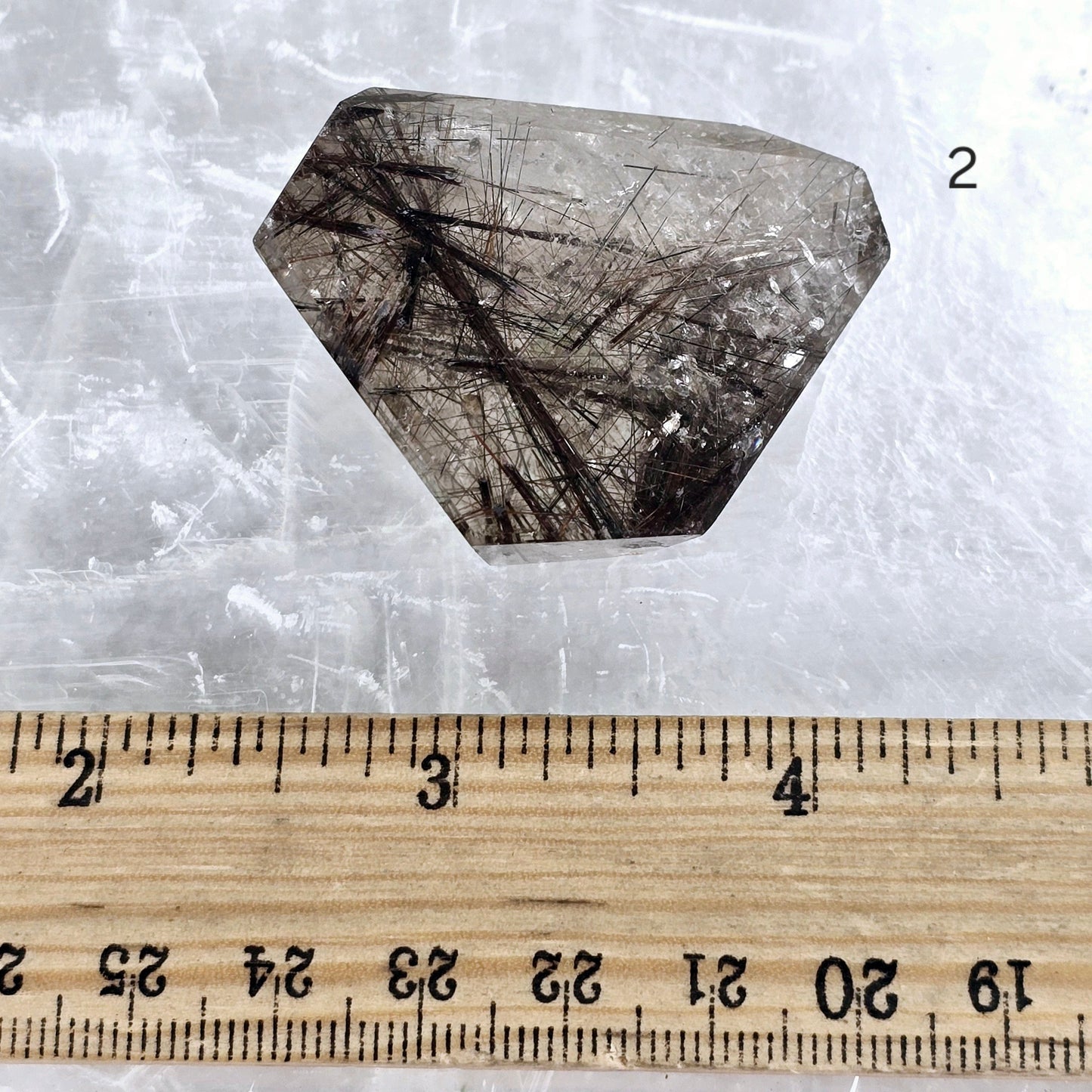Rutilated Quartz - Polished Freeform Crystal - YOU CHOOSE #3 variant 2 labeled with ruler for size reference
