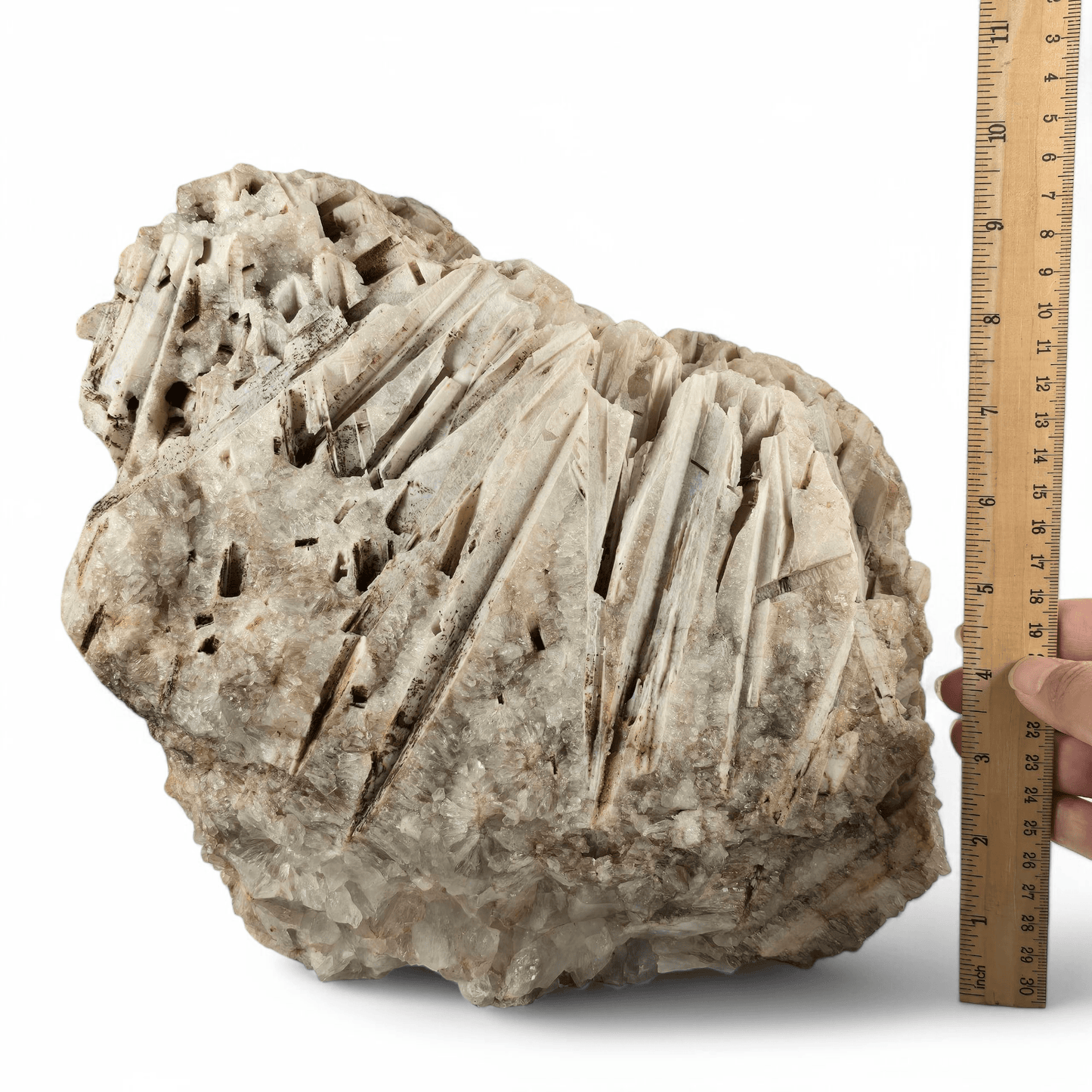 Quartz Pseudomorph after Anhydrite Crystal Specimen - Rare Find with ruler and hand for size reference front view