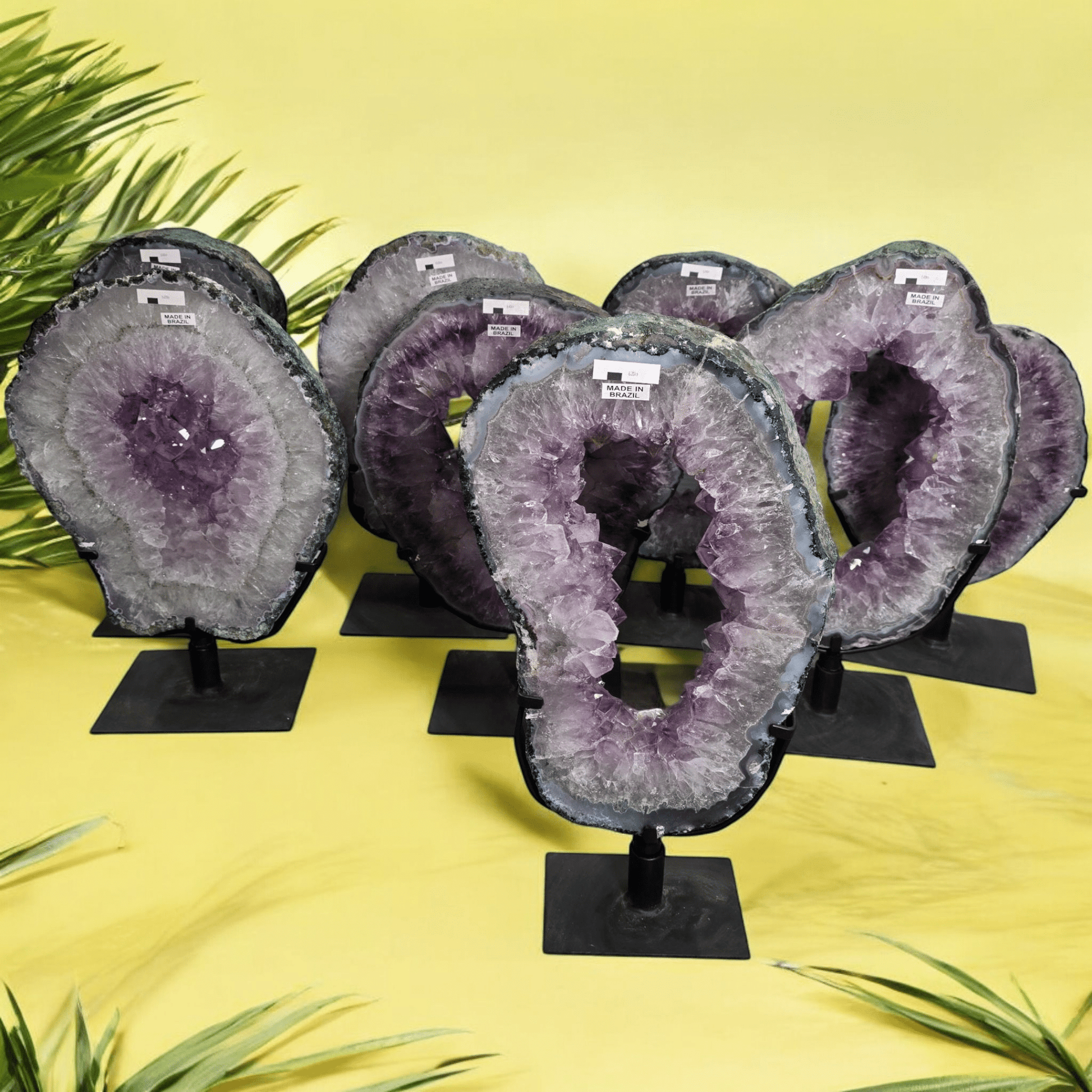 Amethyst Crystal Portal on Rotating Stand - You Choose #1 all variants in yellow background with plants