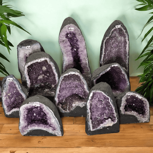 Amethyst Crystal Cathedral - You Choose #4 all variants front view with plants in the background