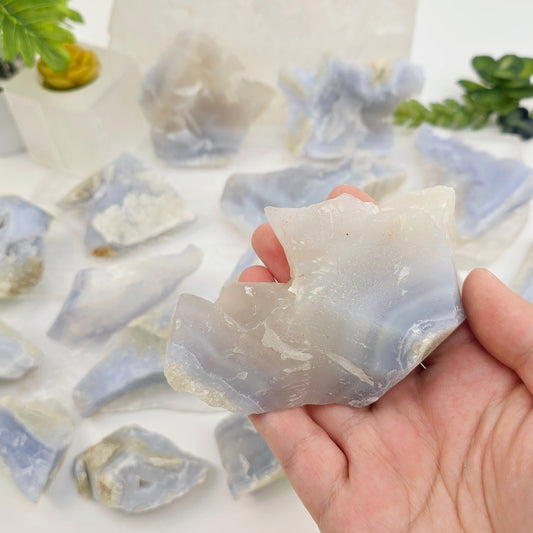 Blue Lace Agate Rough Crystal from Namibia - Rare Find - You Choose #1 variant 16 in hand for size reference with other variants in background with props and plants
